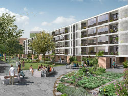 Kanaleneiland renovatie