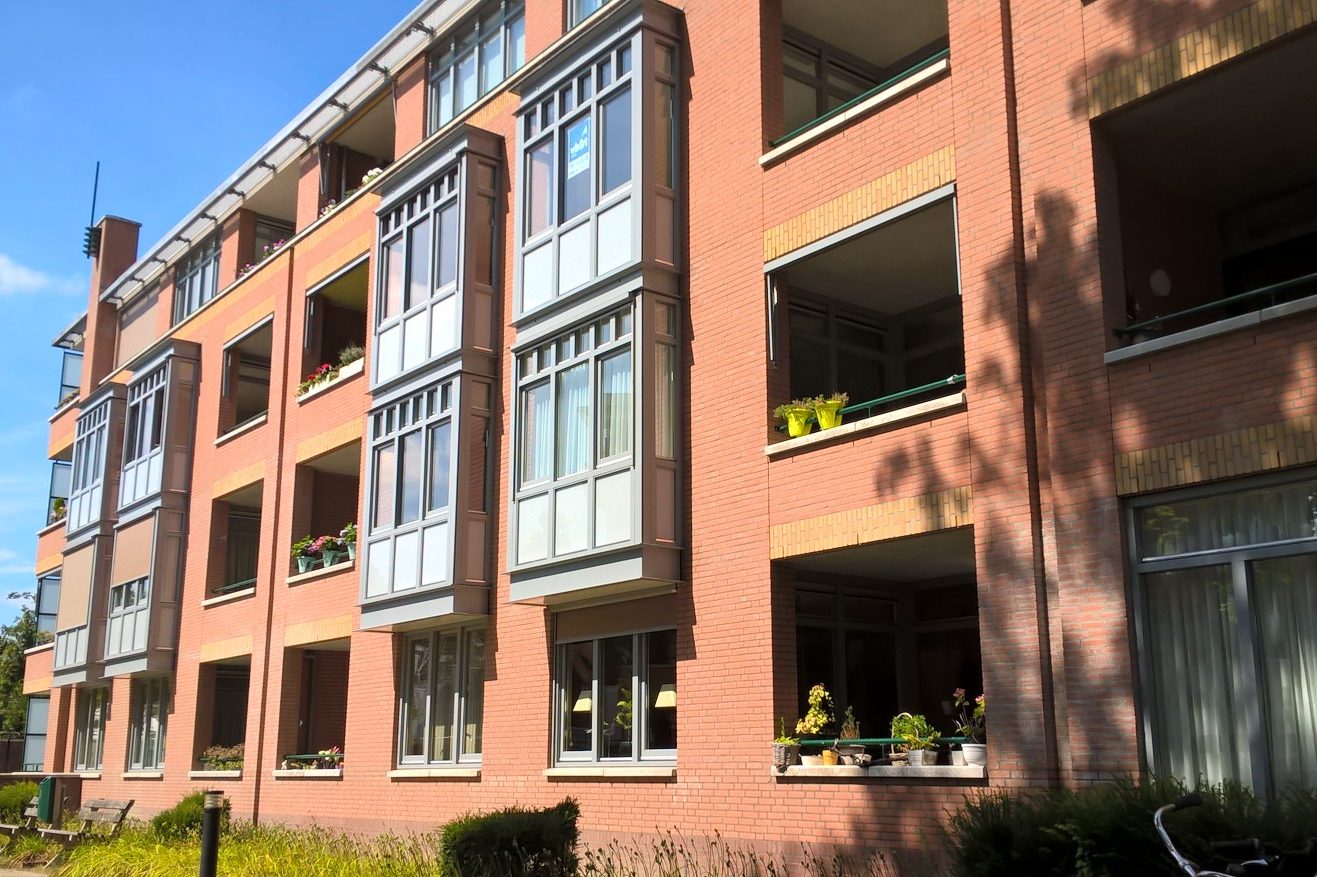 cederstate-son-en-breugel