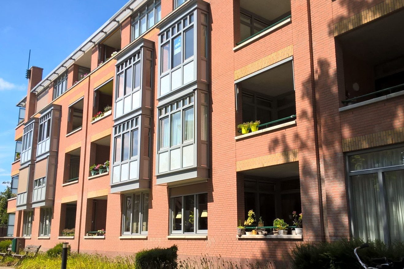 cederstate-son-en-breugel