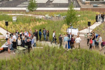 Zuidas-vivaldi-groendak1