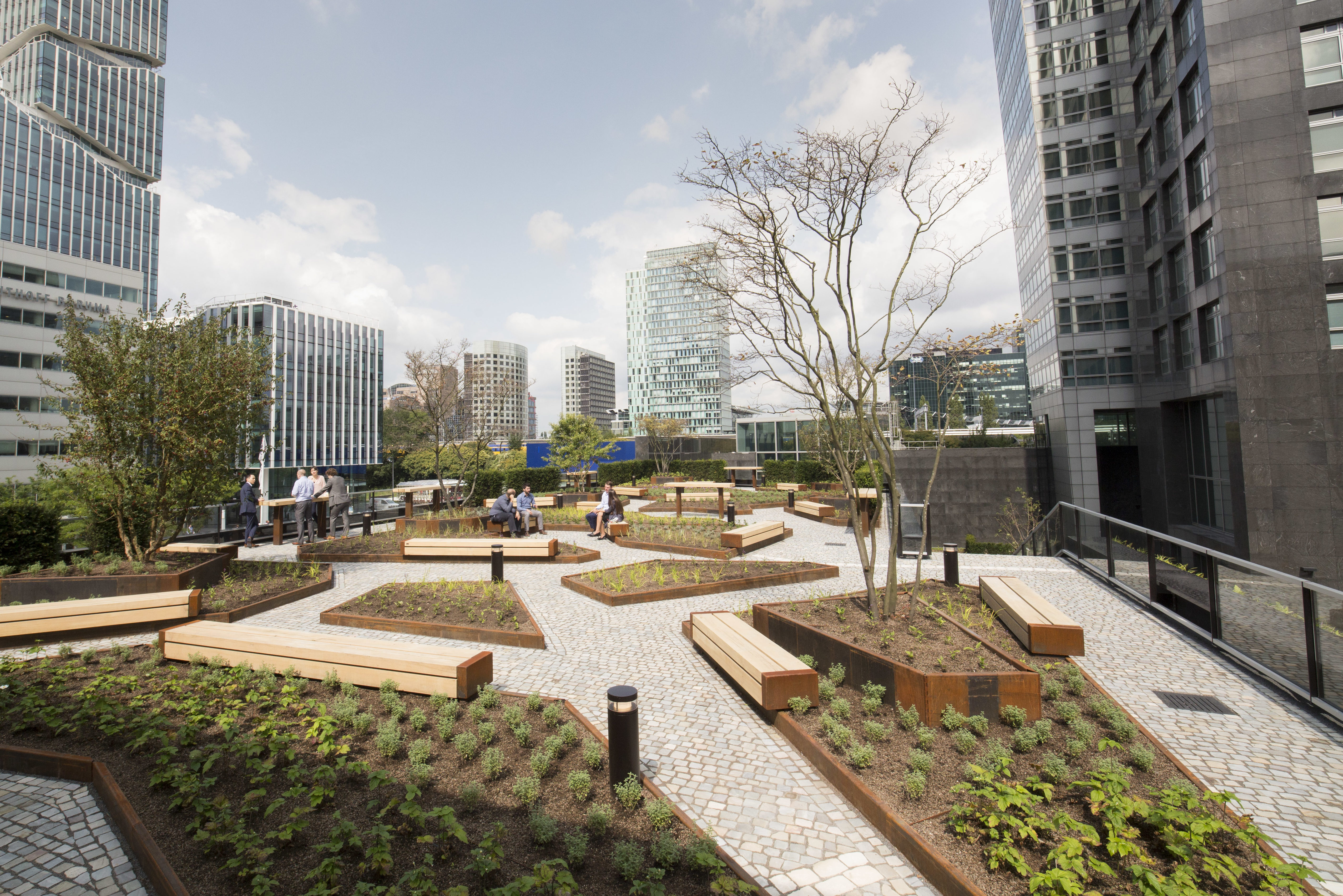 Circl Zuidas, foto: Elmer van der Marel