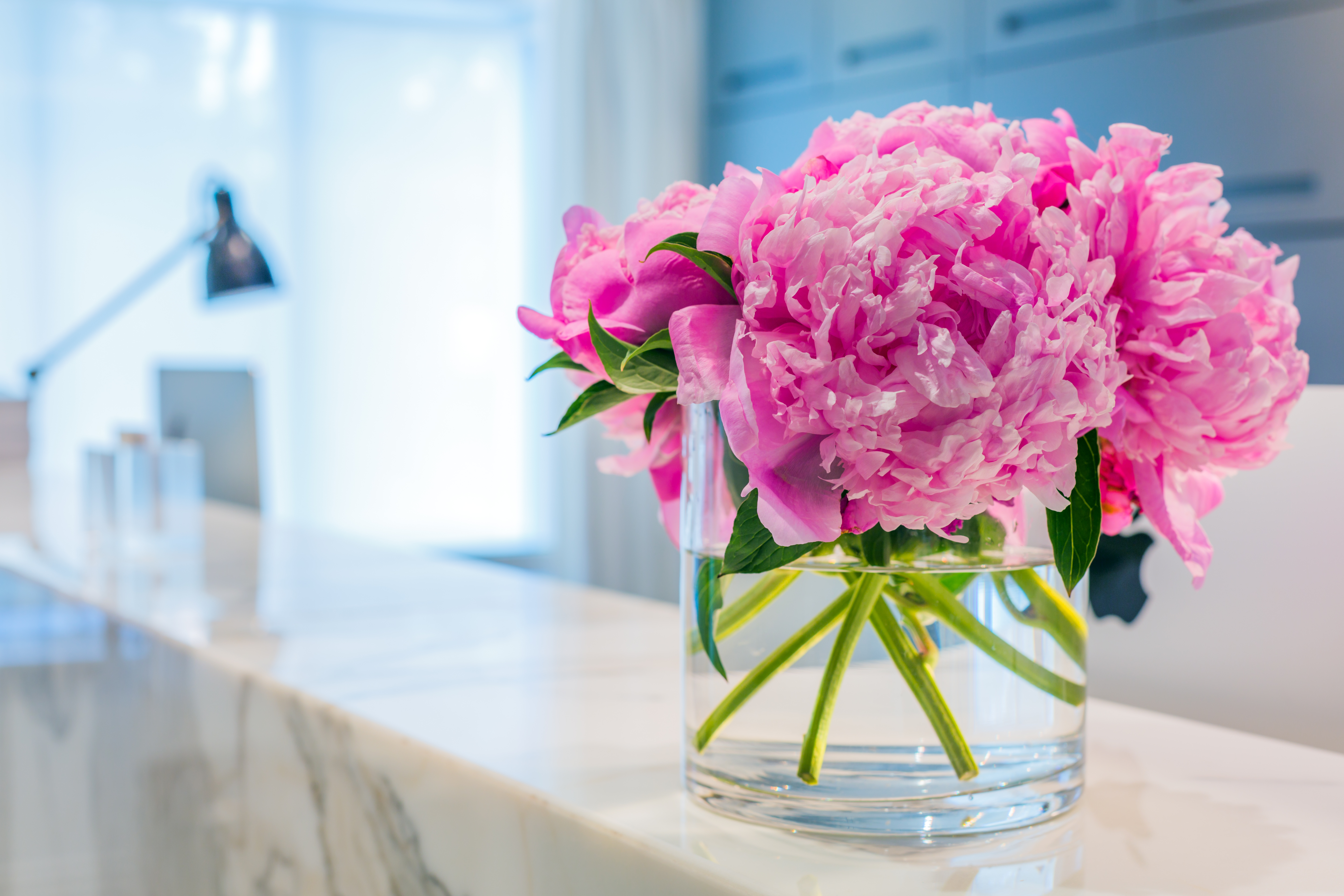 Nieuwe adviseurs bij Fakton Consultancy