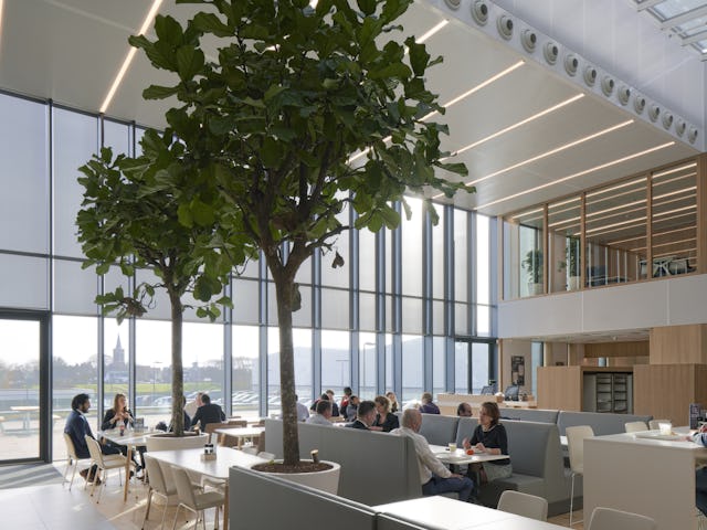 Expeditors International, Naritaweg 1, Rozenburg