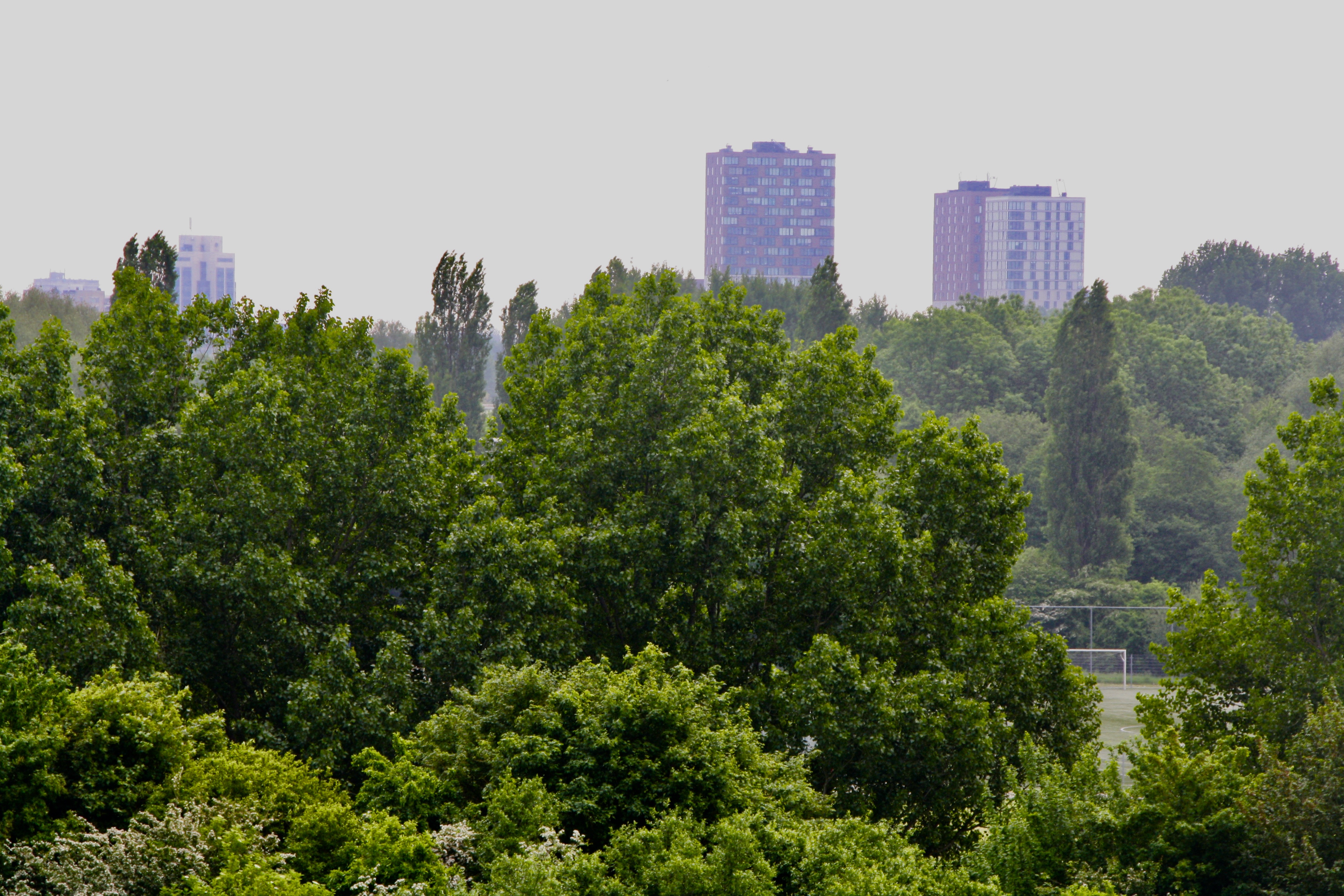 Stadspark Zoetermeer