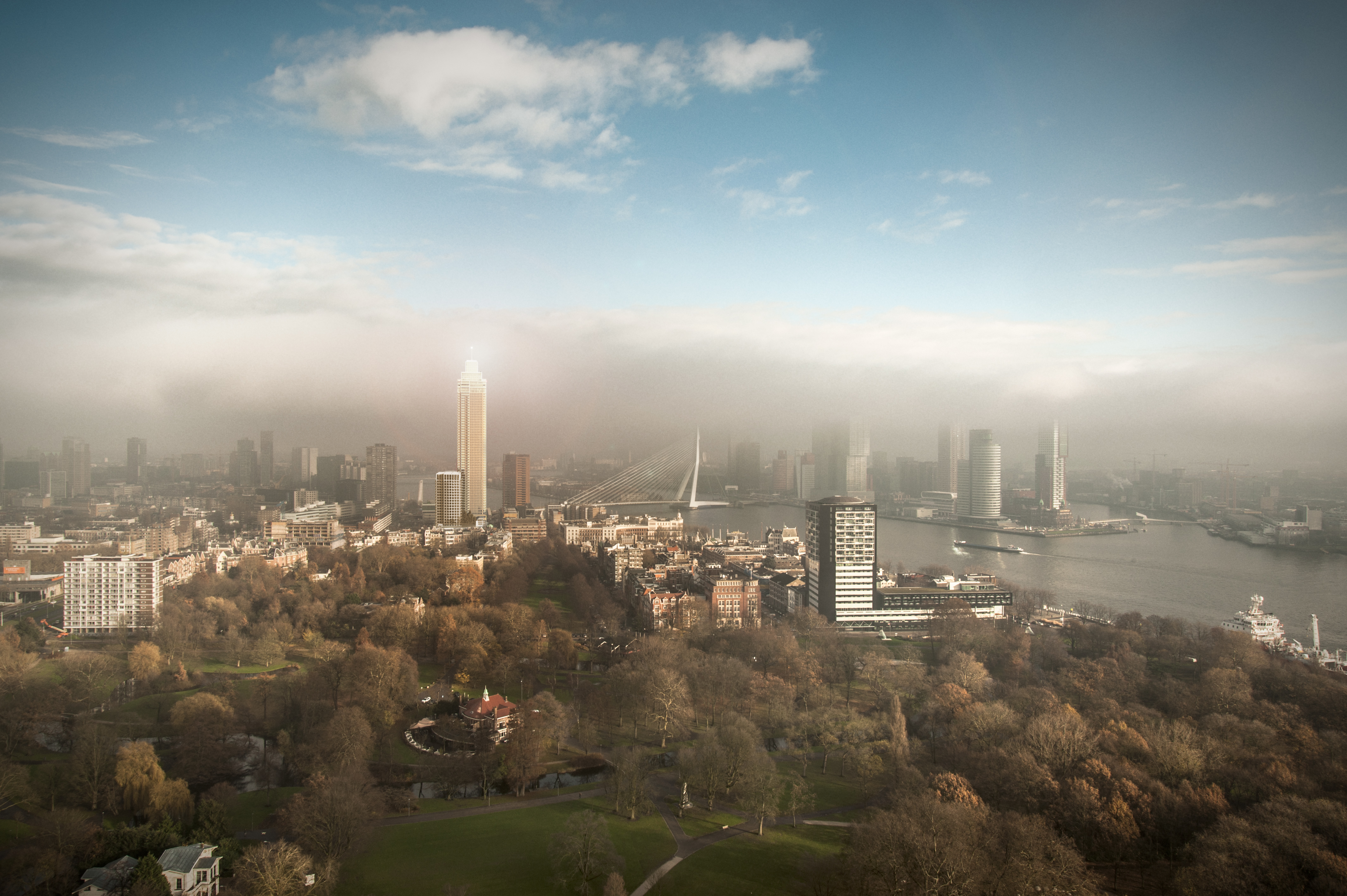 Zalmhaven, Rotterdam
