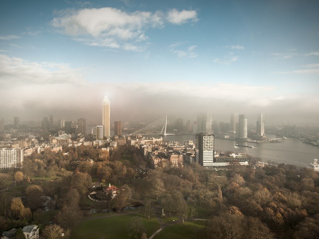 Zalmhaven, Rotterdam