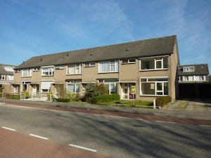 Willem de Zwijgerlaan, Zevenaar