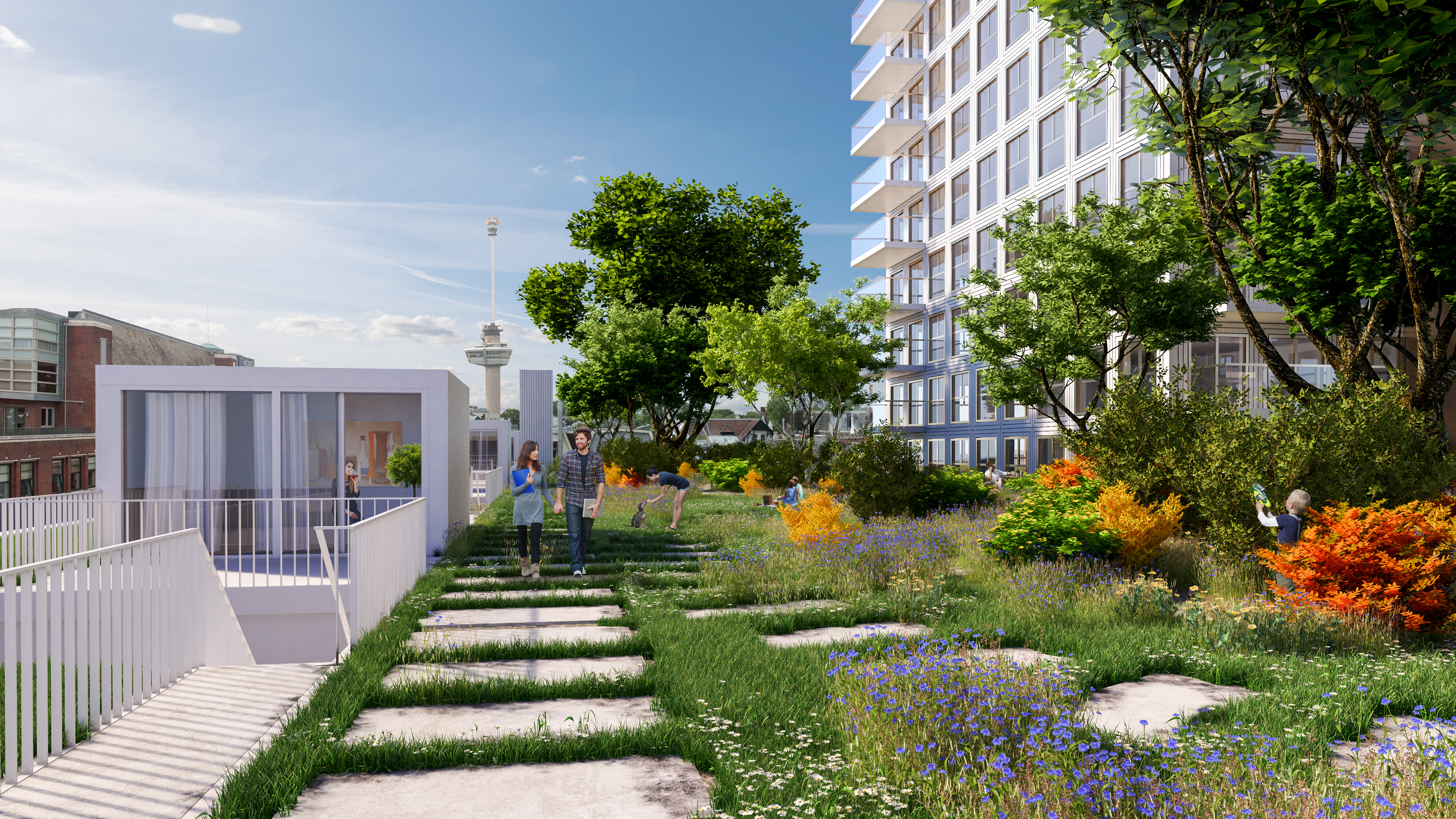 Zalmhaven, Rotterdam