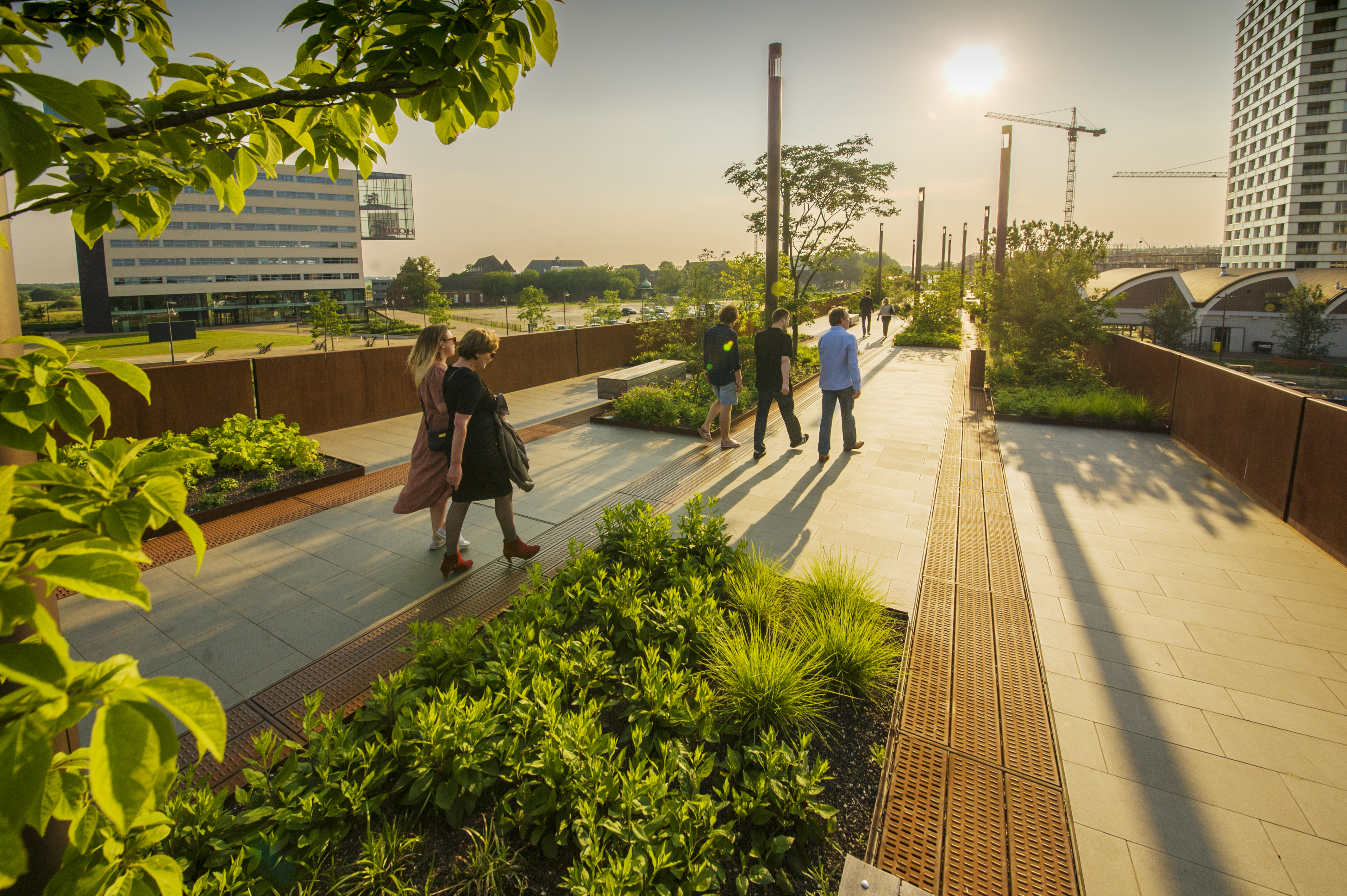 Paleisbrug, Paleiskwartier, Den Bosch