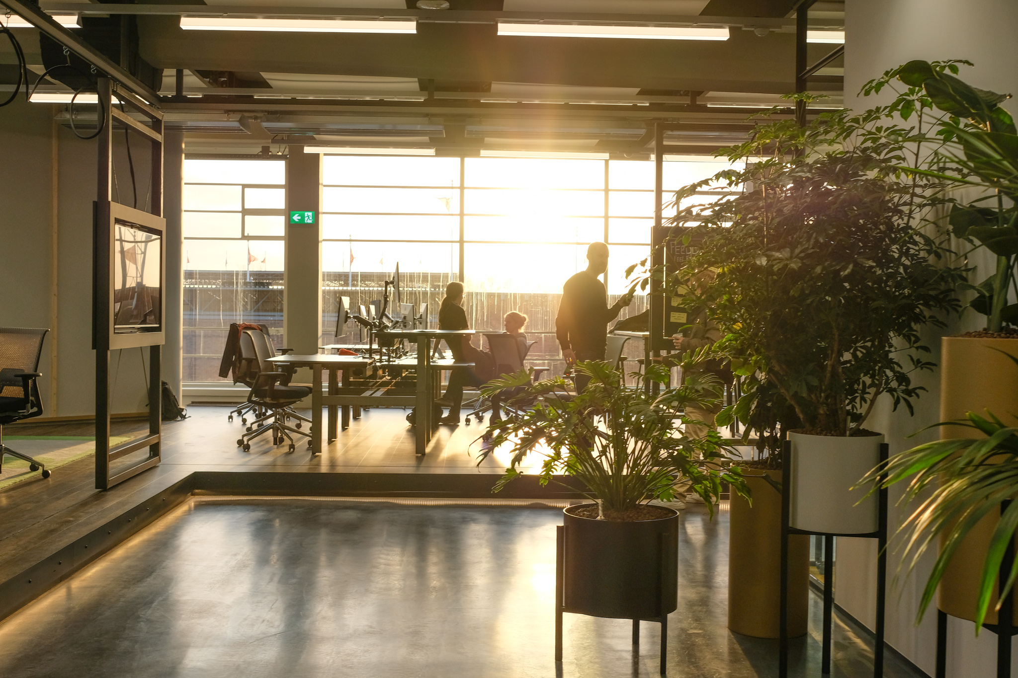 Citroën Noordgebouw, ‘The Olympic 1962’