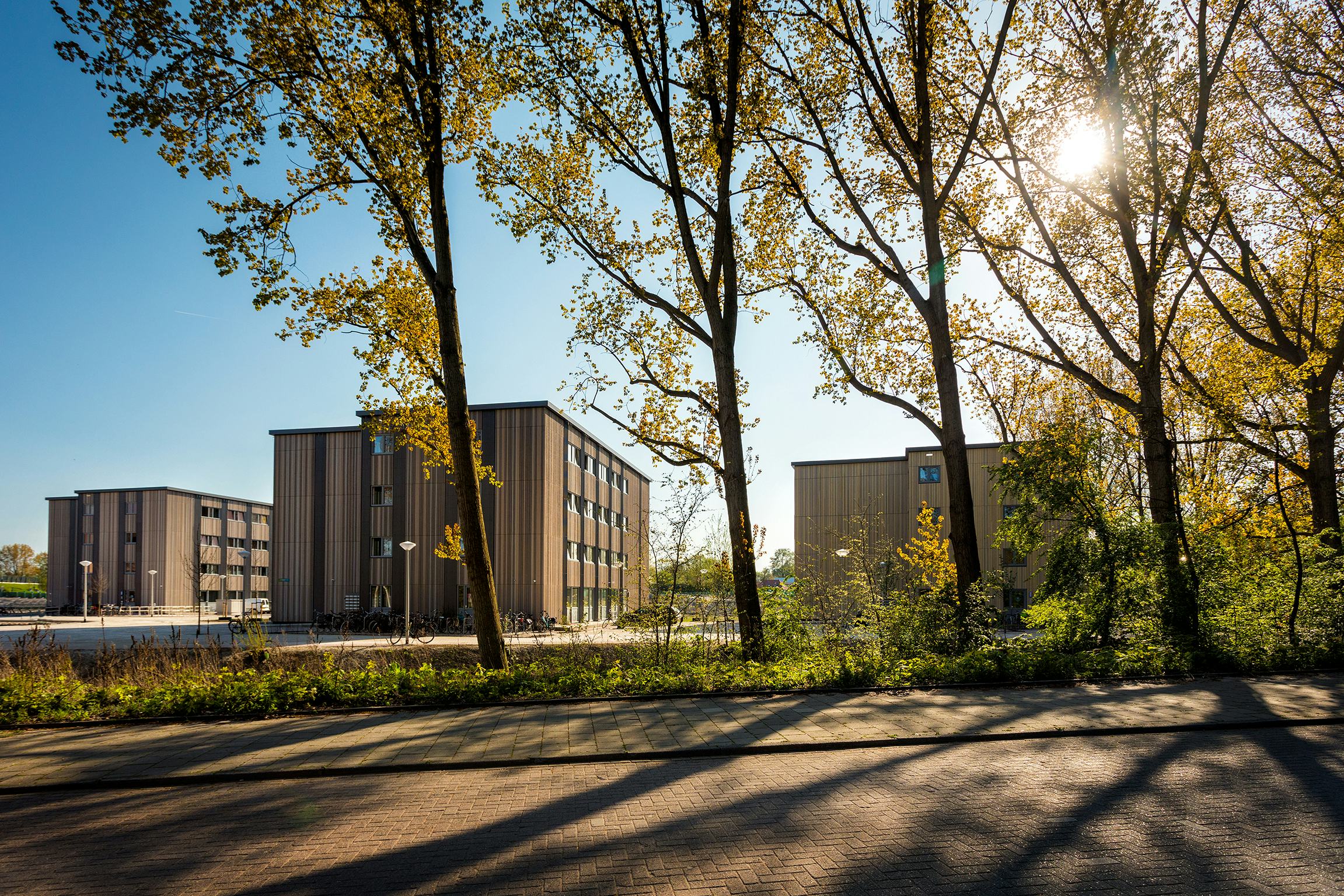 De 540 herbruikbare woonunits van Startblok Elzenhagen in Amsterdam Noord zijn verdeeld over zes woonblokken.