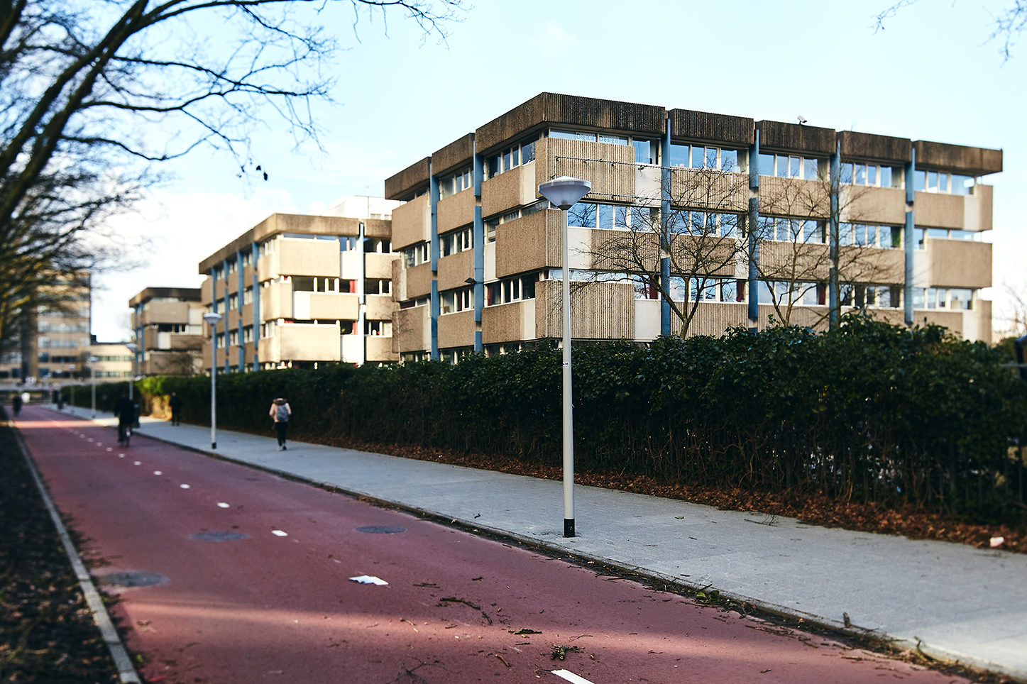 Foto door: M. Hofmans