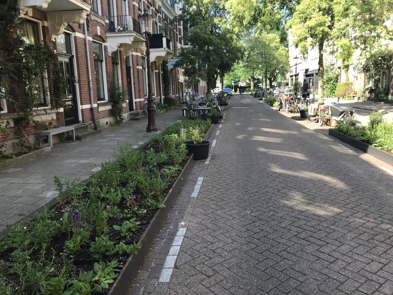 Gijsbrecht van Aemstelstraat Amsterdam Oost: een maand lang plantenbakken en fietsenrekken in plaats van vakken om auto’s te parkeren.
