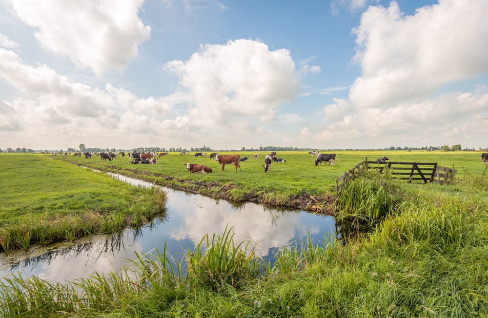 'Nederland moet goed voor het platteland zorgen'