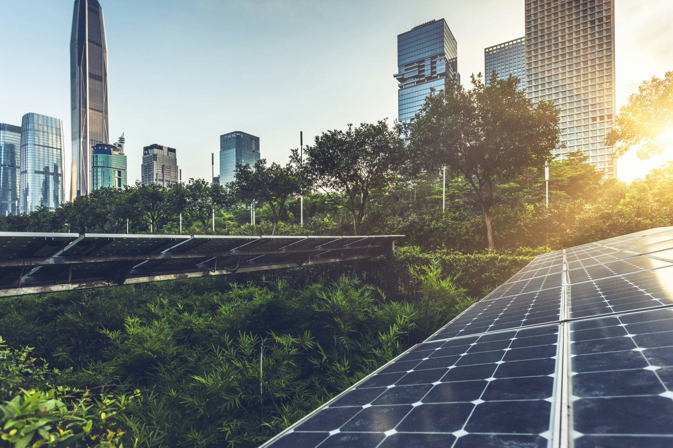 Het duurzaamste bedrijf ter wereld