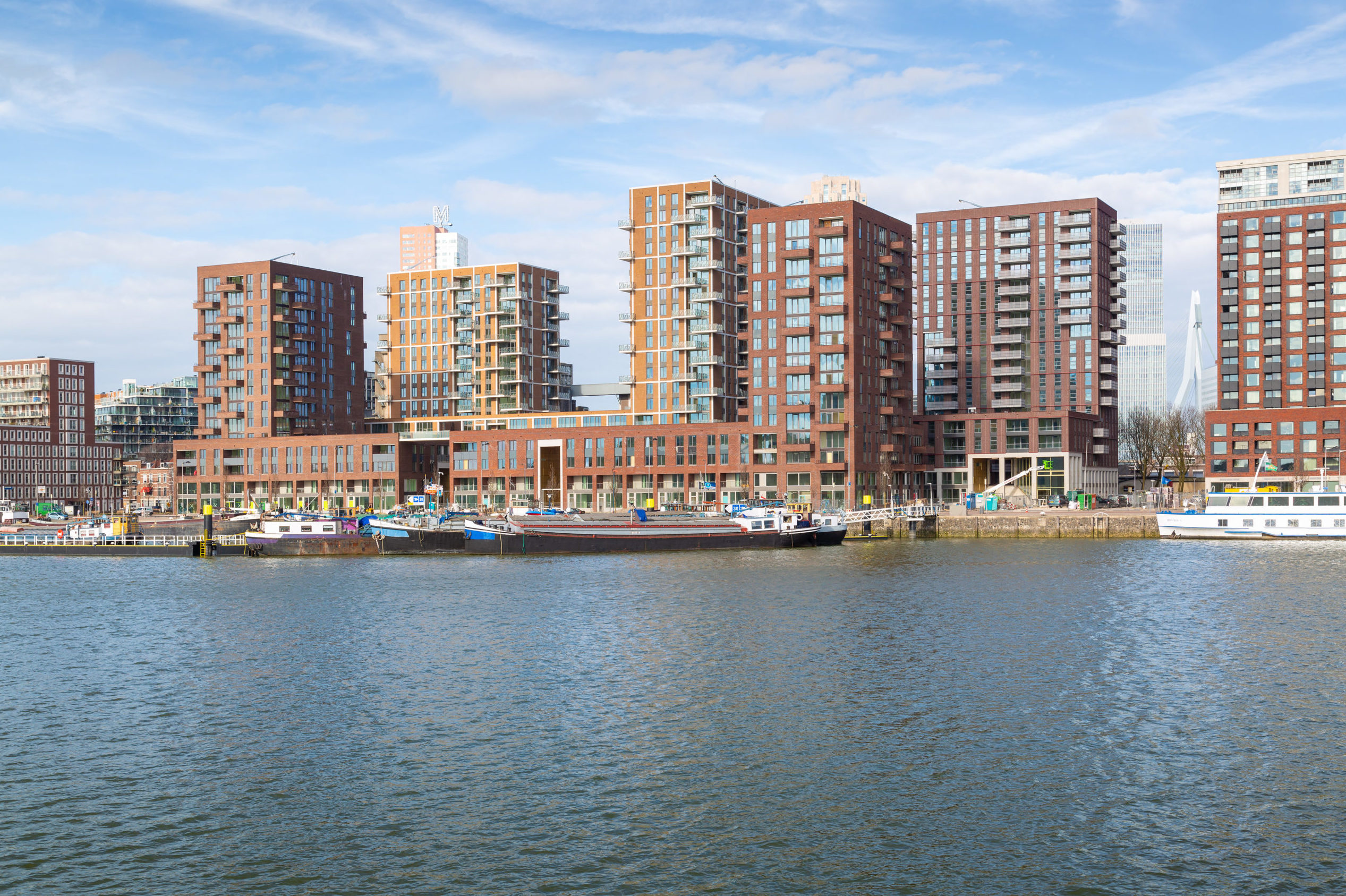 De Groene Kaap in Rotterdam verwelkomt haar eerste bewoners