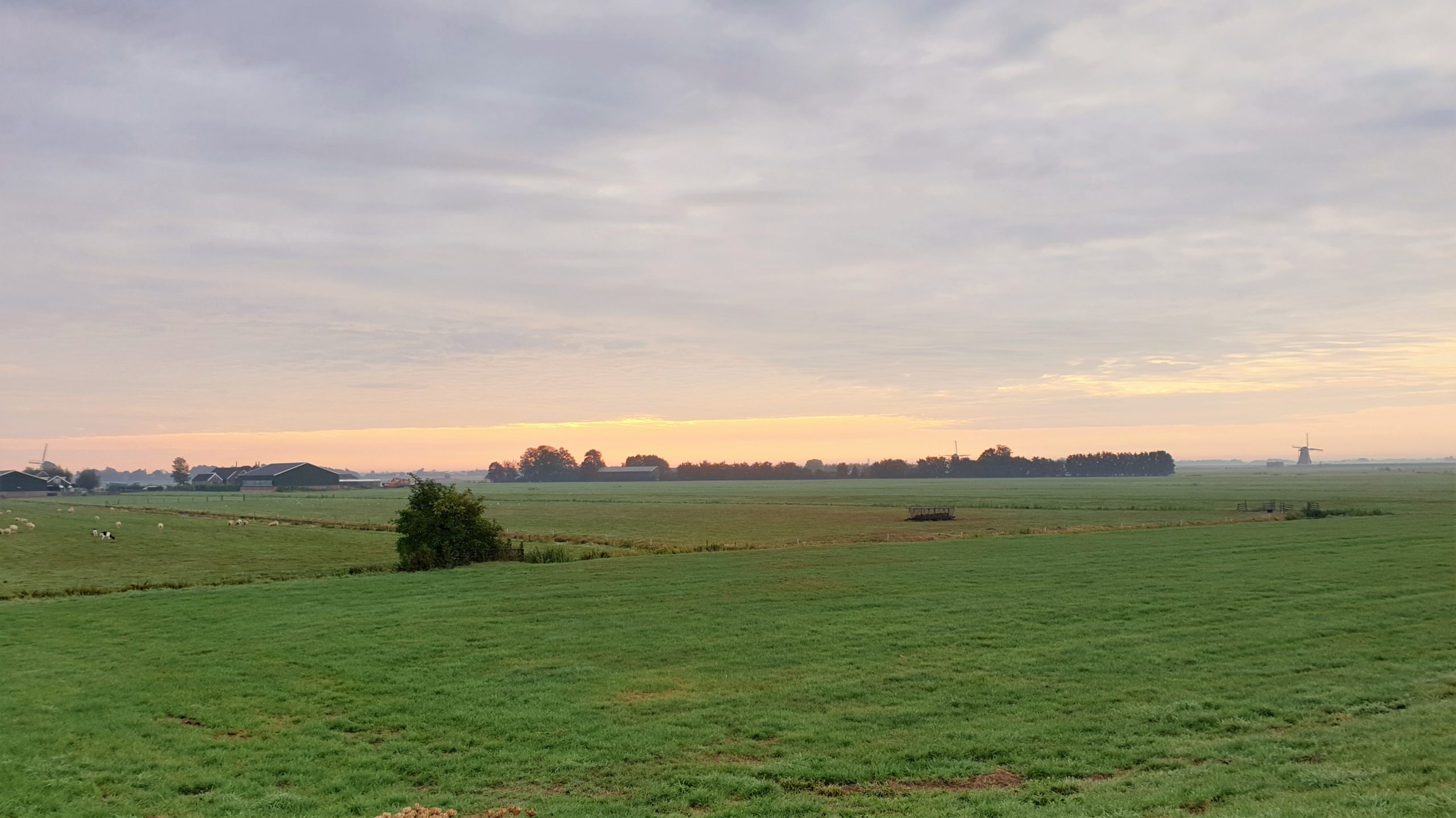 De Zuidplaspolder bij Rotterdam 