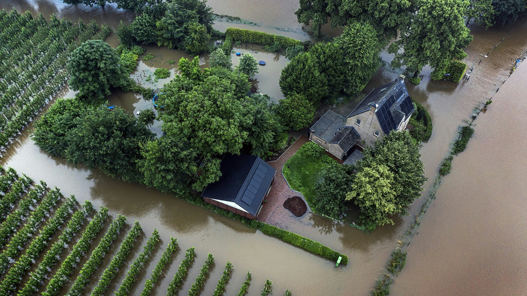 Foto: ANP / HH / Branko de Lang