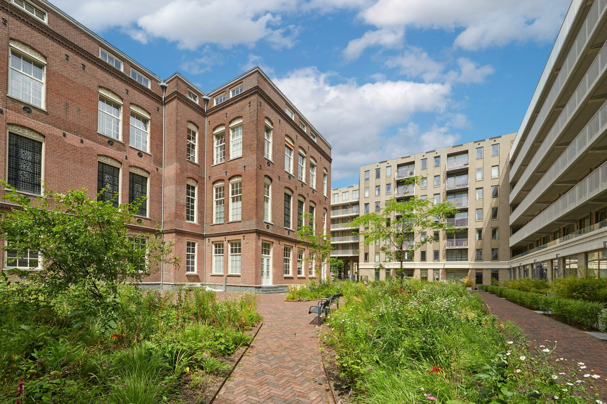 De Nieuwe Sint Jacob - Amsterdam