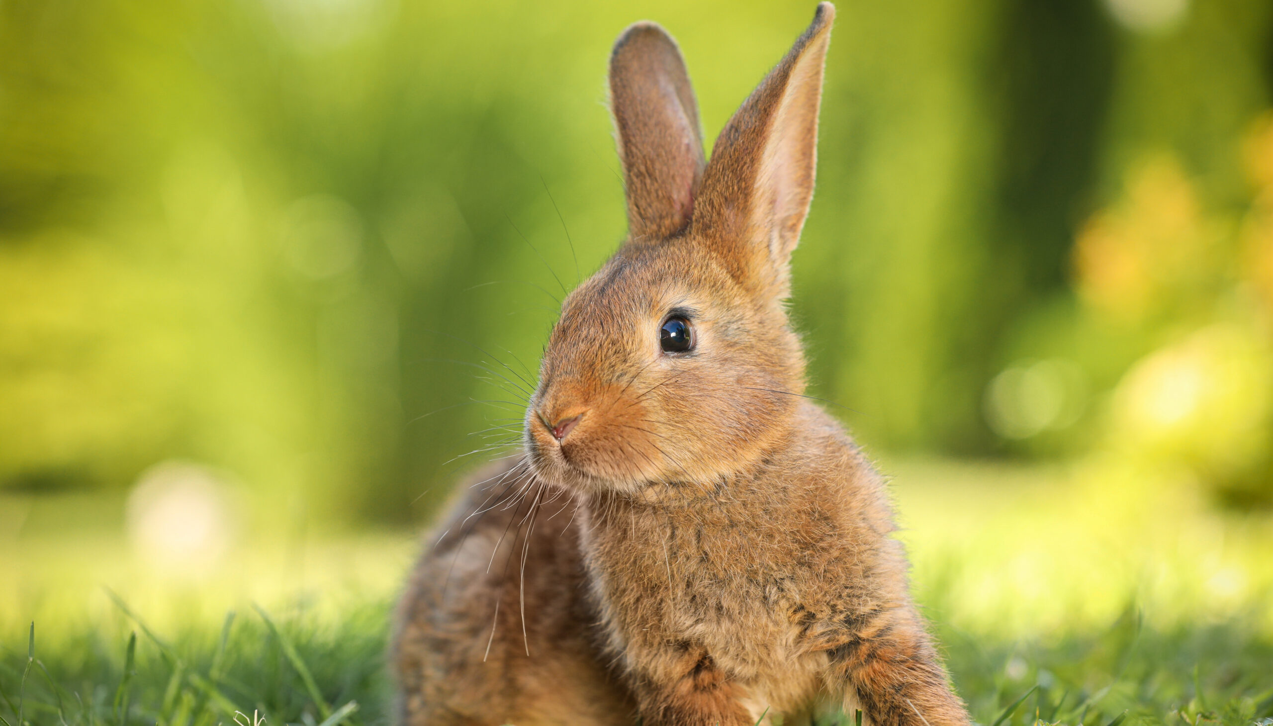 Foto: New Africa / Shutterstock