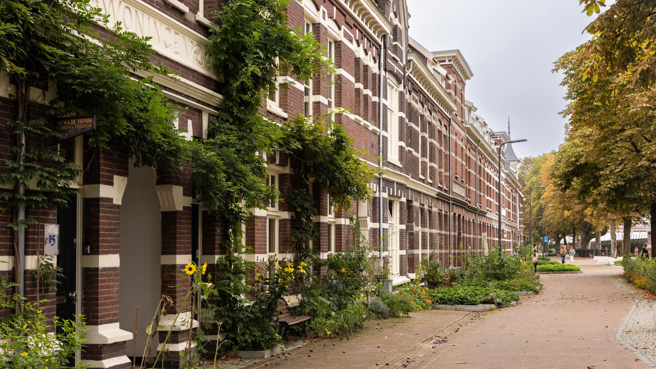 Foto: Lea Rae / Shutterstock