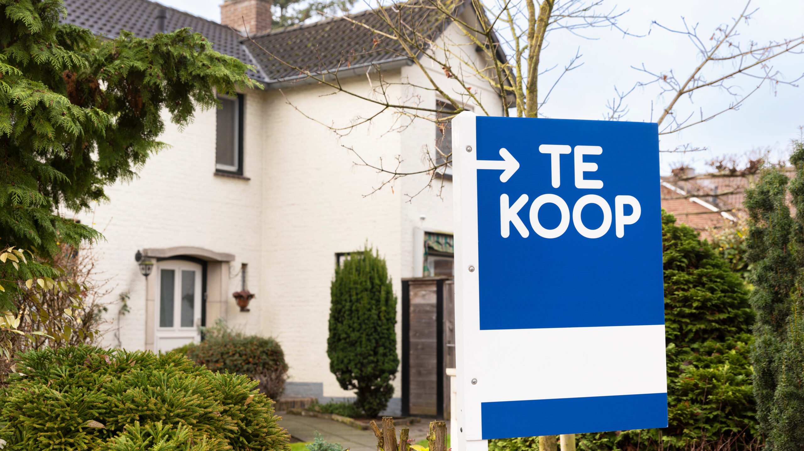 Foto: Lea Rae / Shutterstock