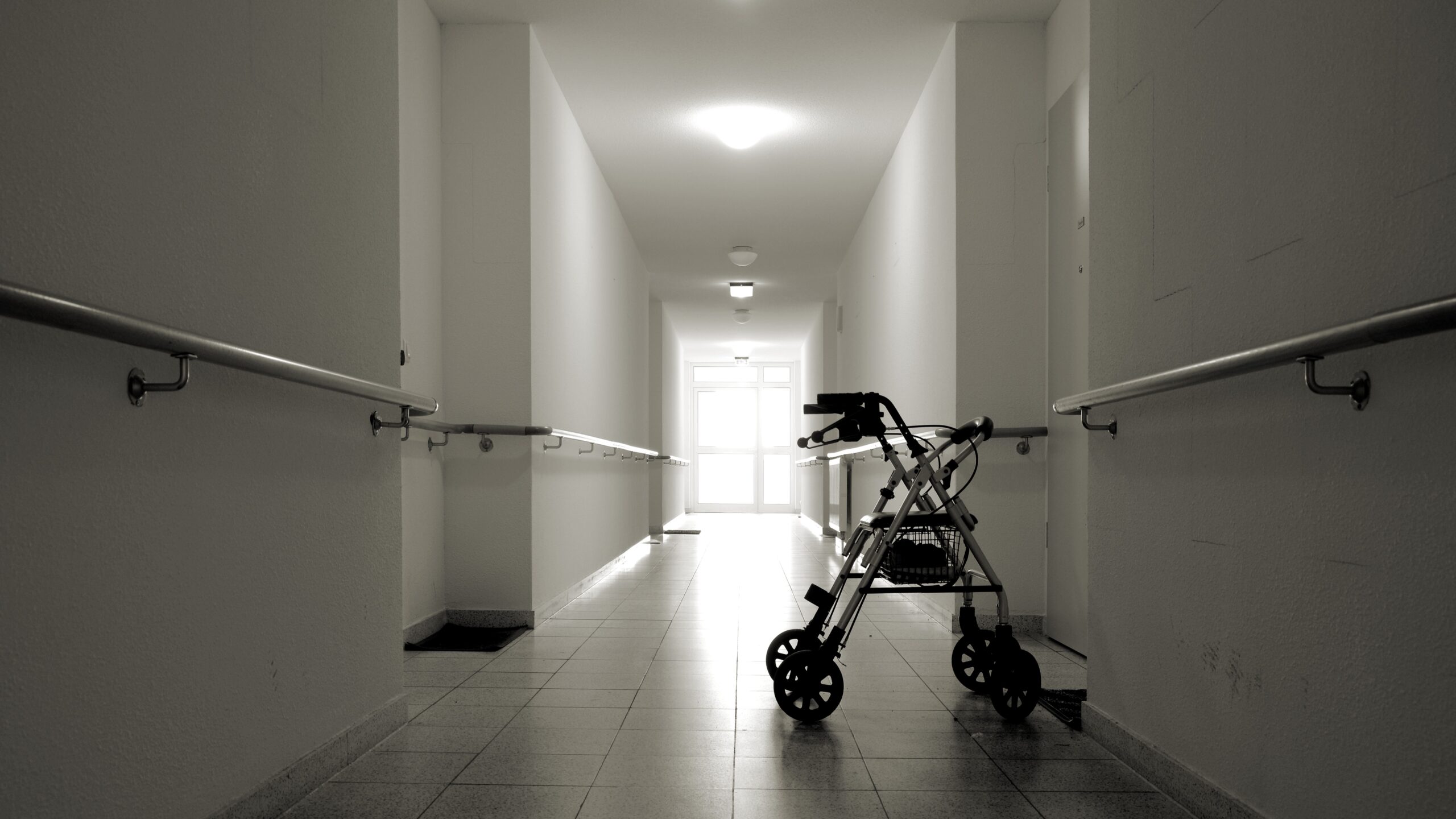 Beeld: Heiko Keuveling/Shutterstock