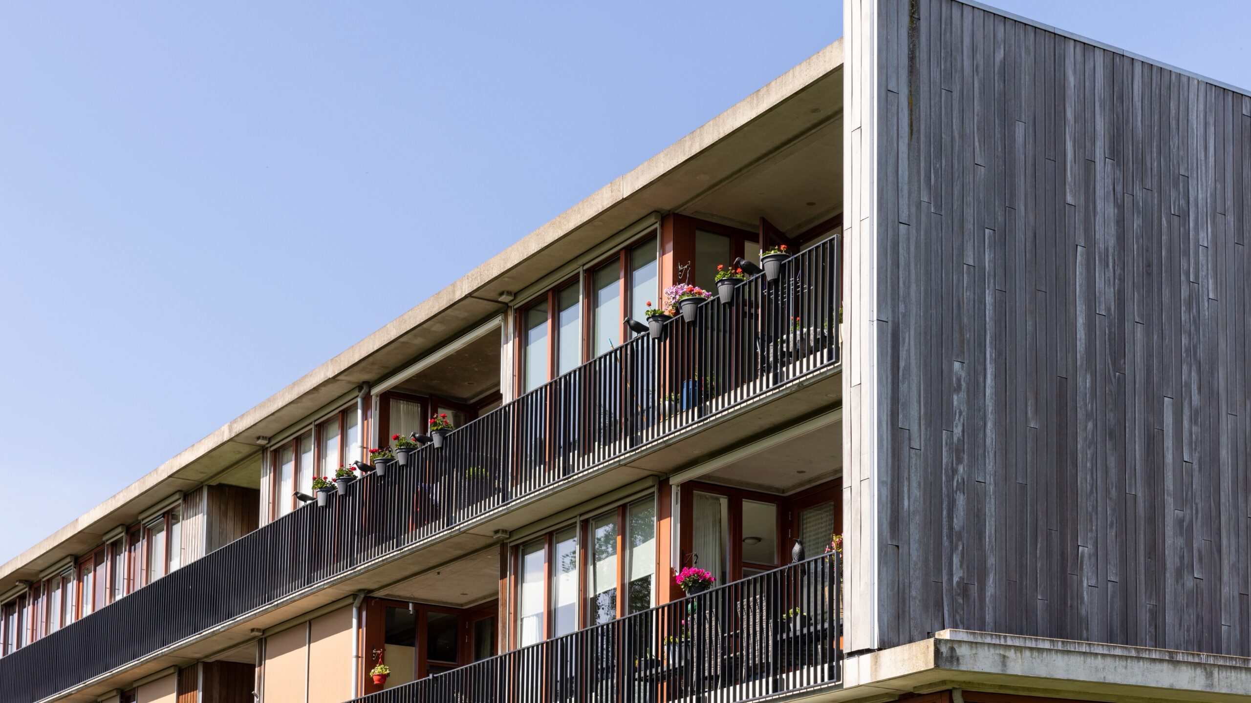 Beeld: Lea Rae/Shutterstock