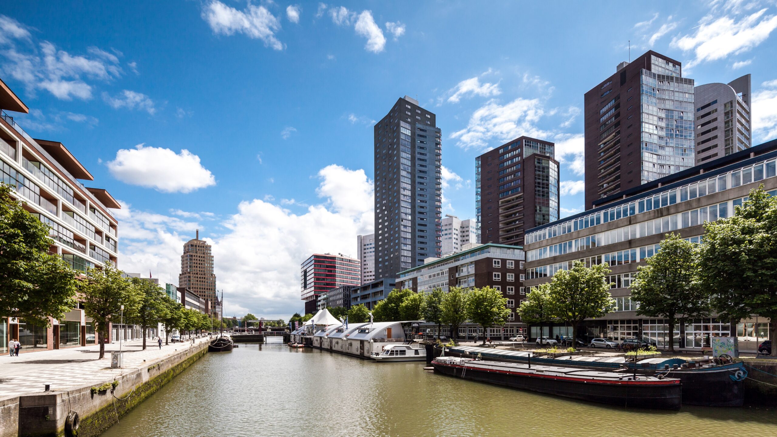 Beeld: Telesniuk / Shutterstock