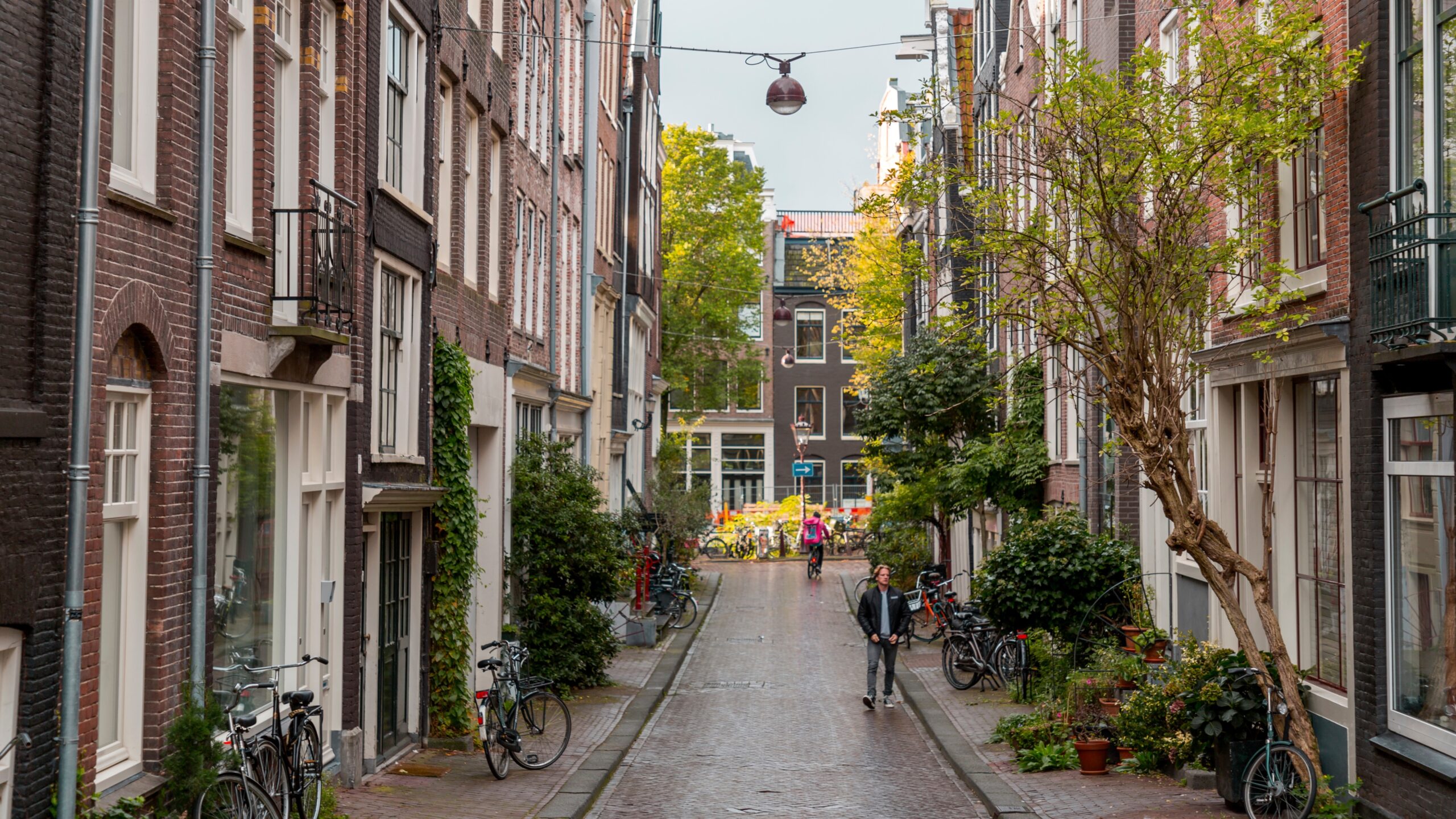 Foto: ColorMaker / Shutterstock.com