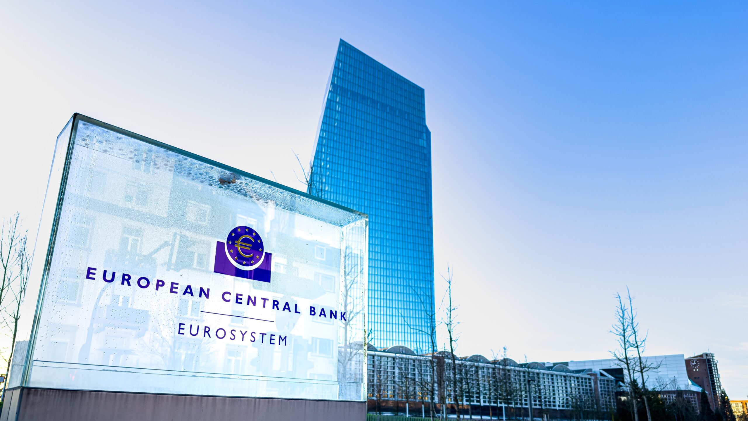 Beeld: Ilolab/Shutterstock