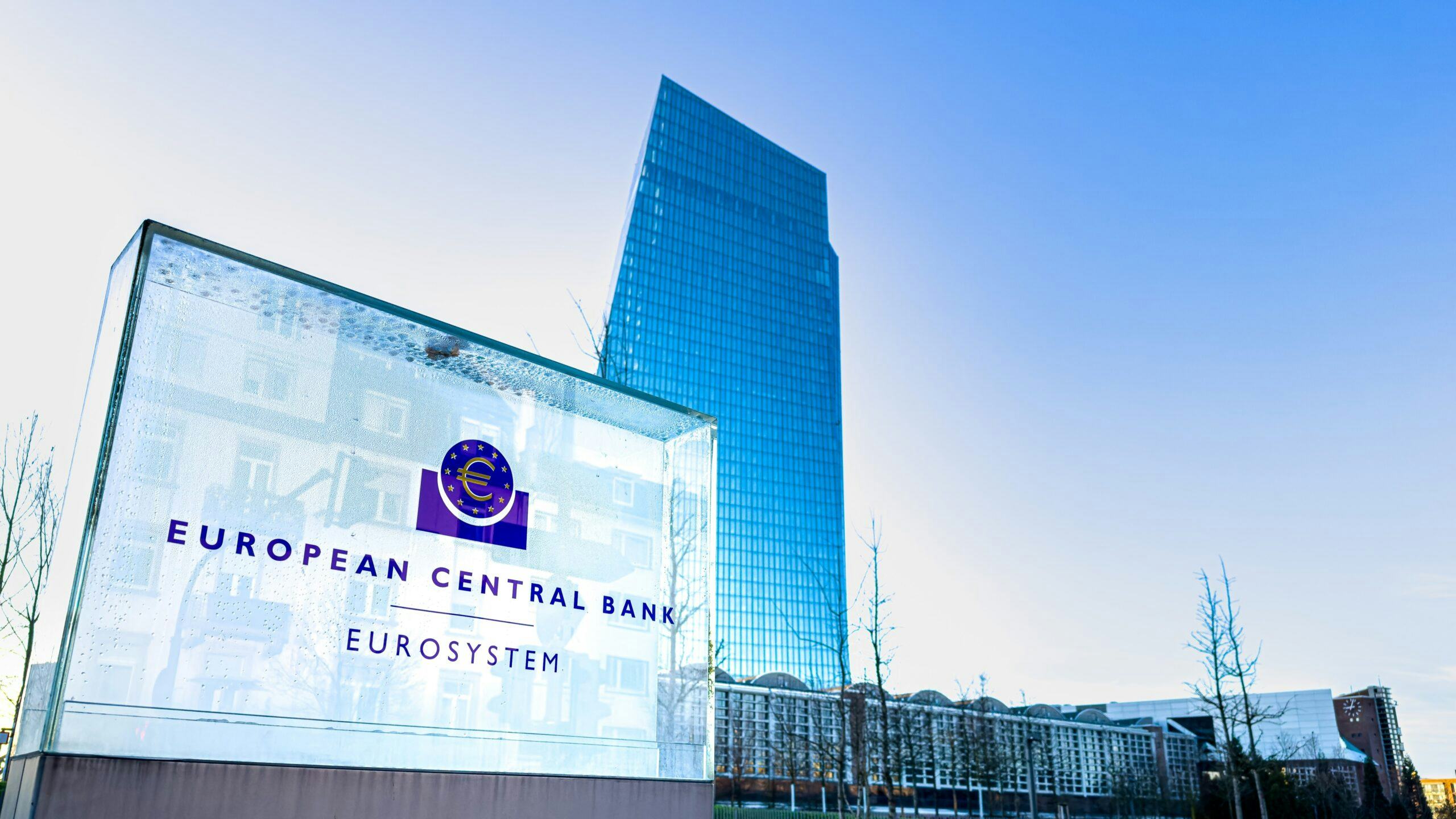 Beeld: Ilolab/Shutterstock