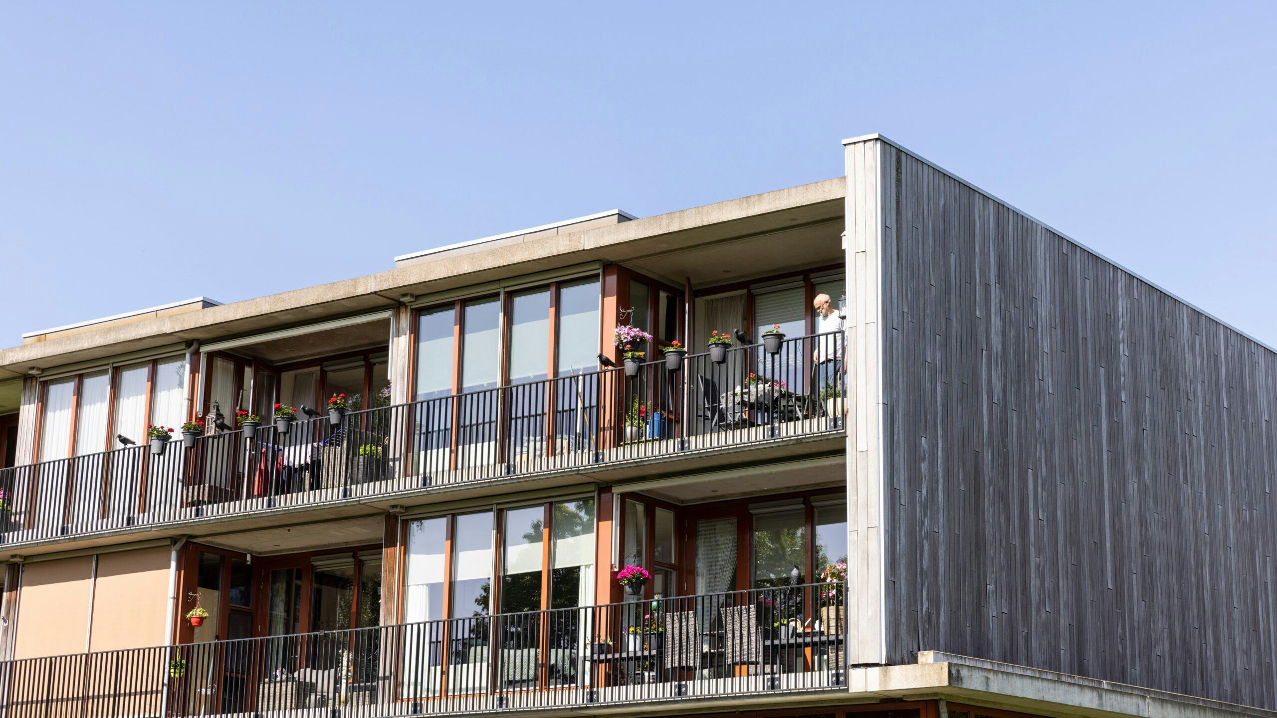 Beeld: Lea Rae/Shutterstock