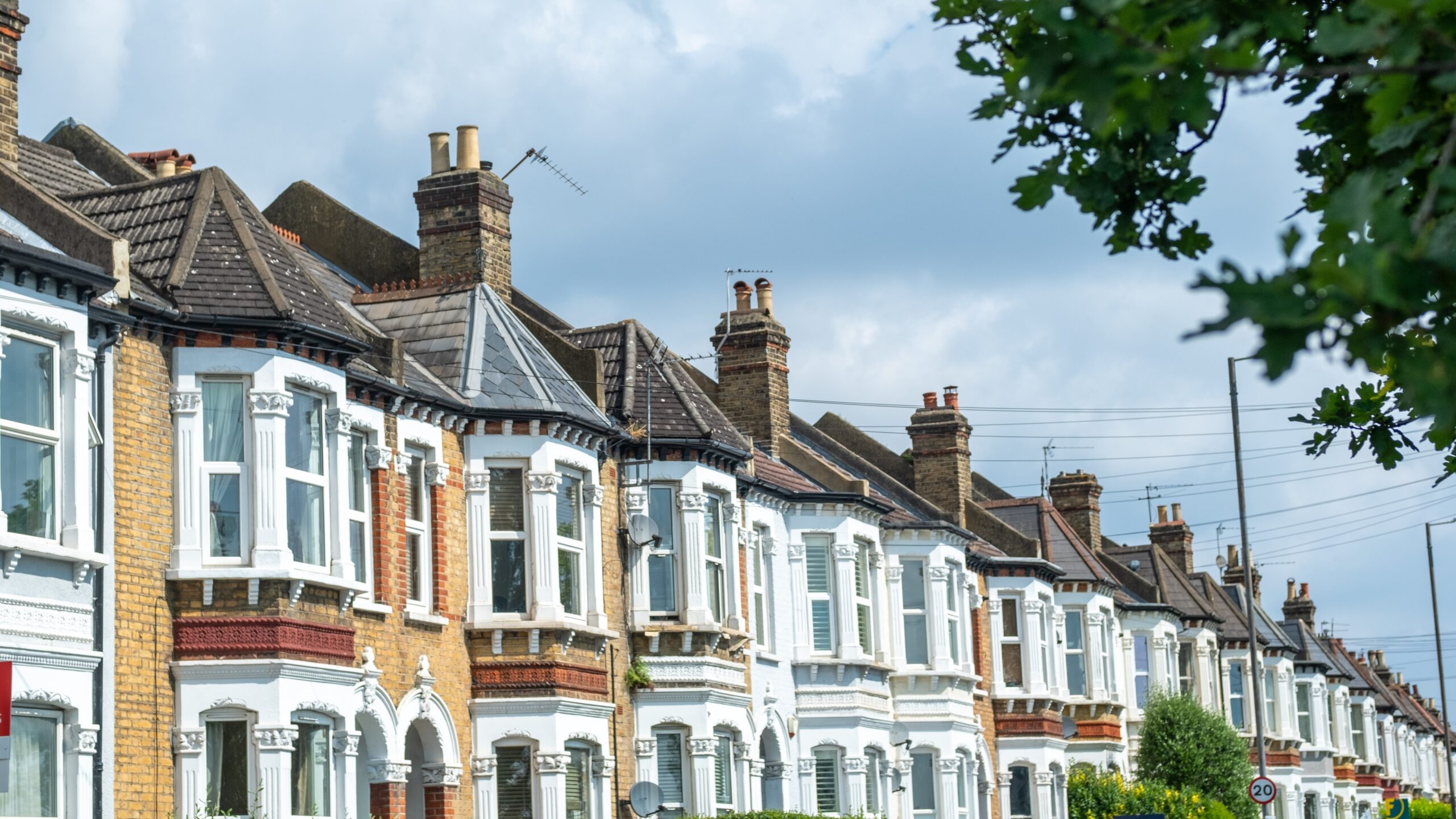 Foto: William Barton / Shutterstock