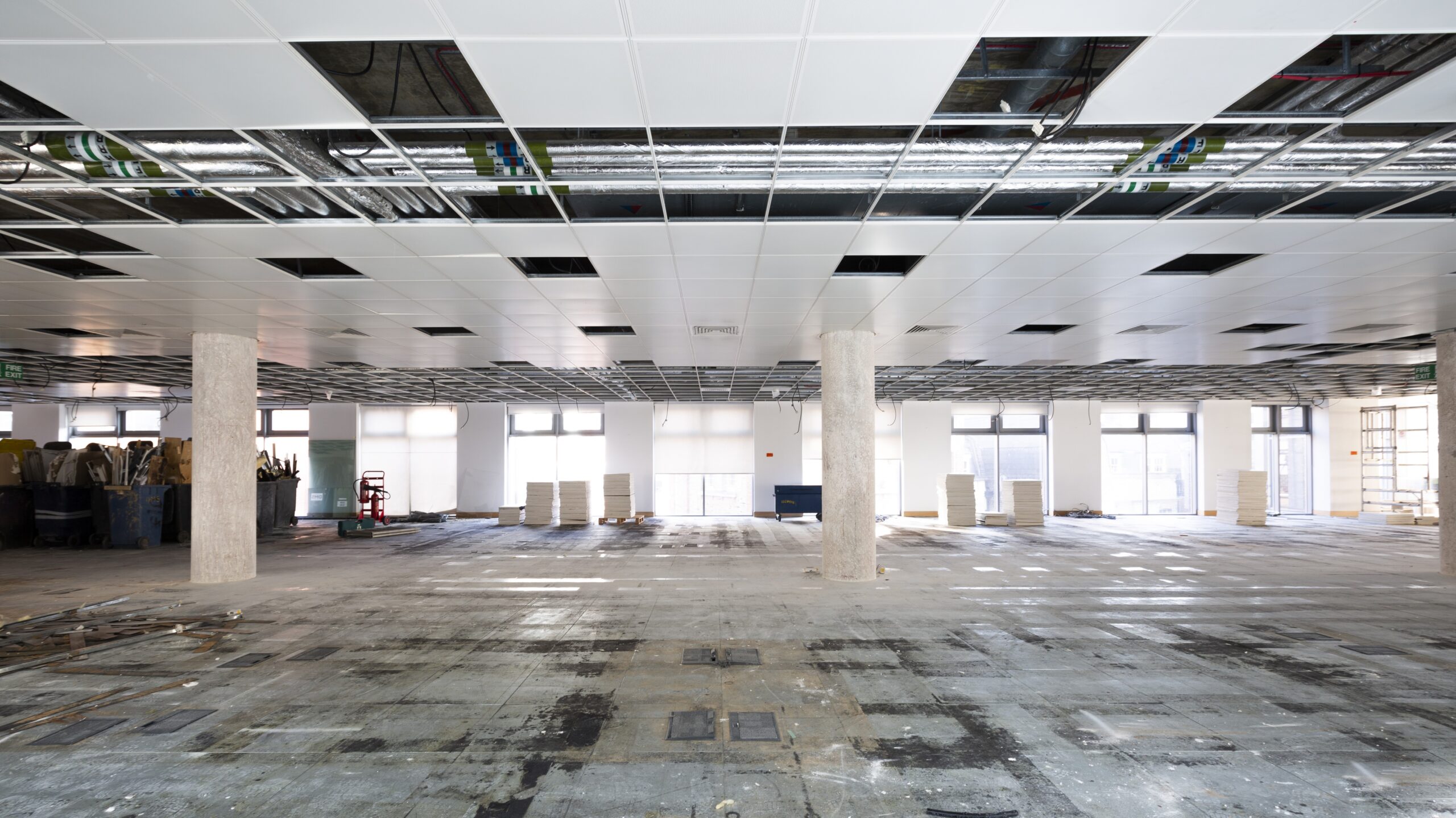 Beeld: Jamen Percy/Shutterstock