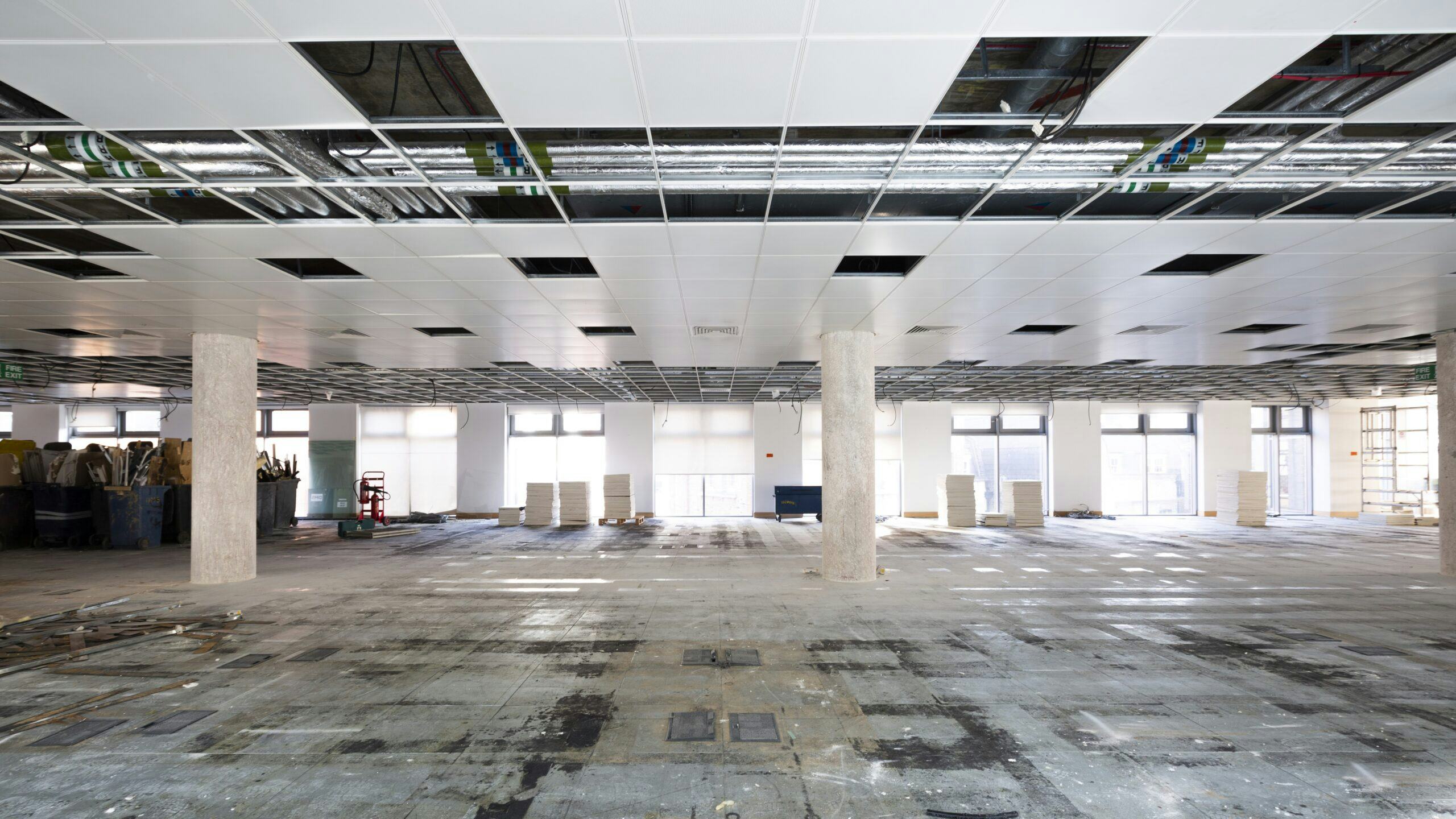 Beeld: Jamen Percy/Shutterstock