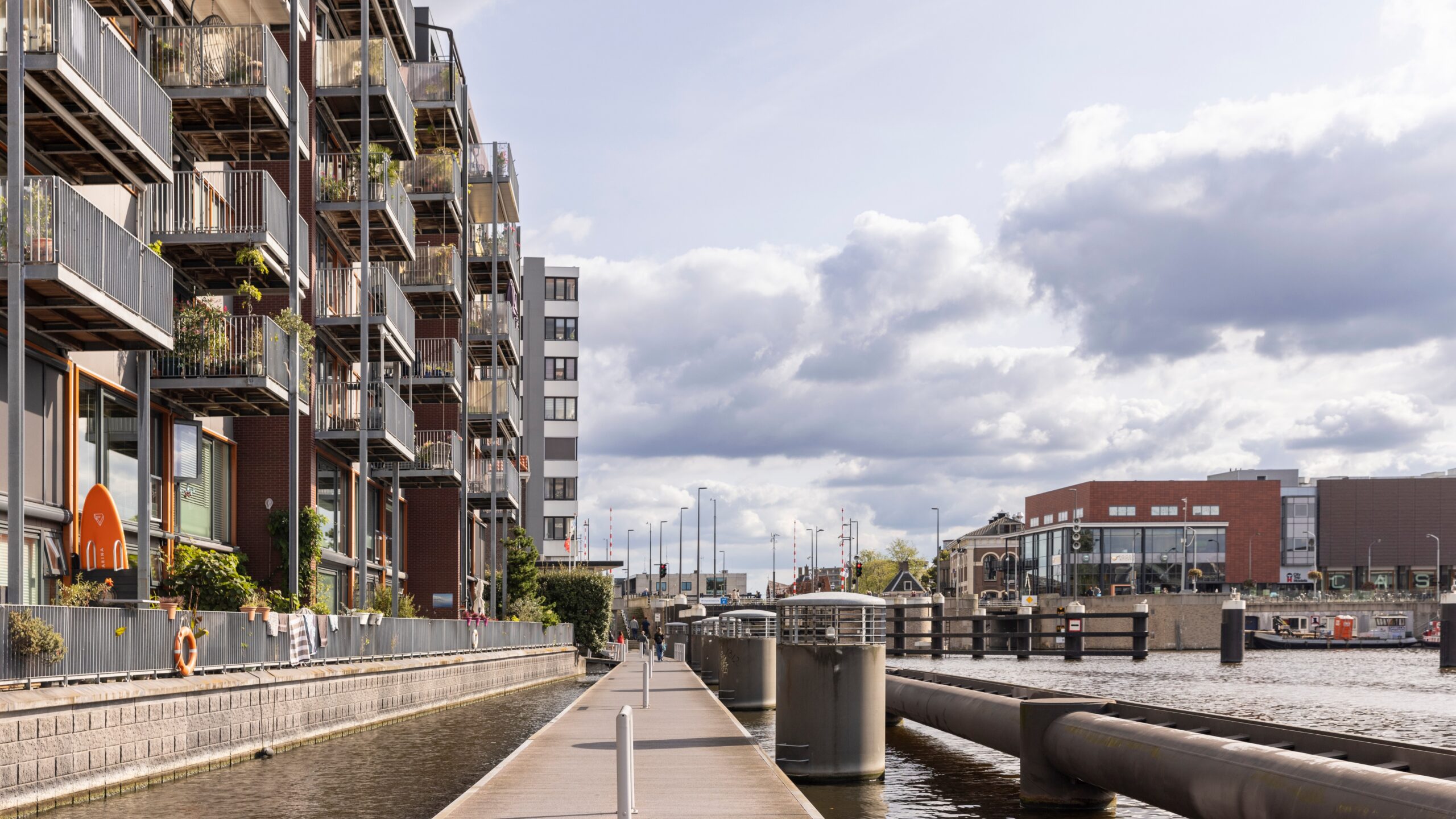 Foto: Lea Rae / Shutterstock