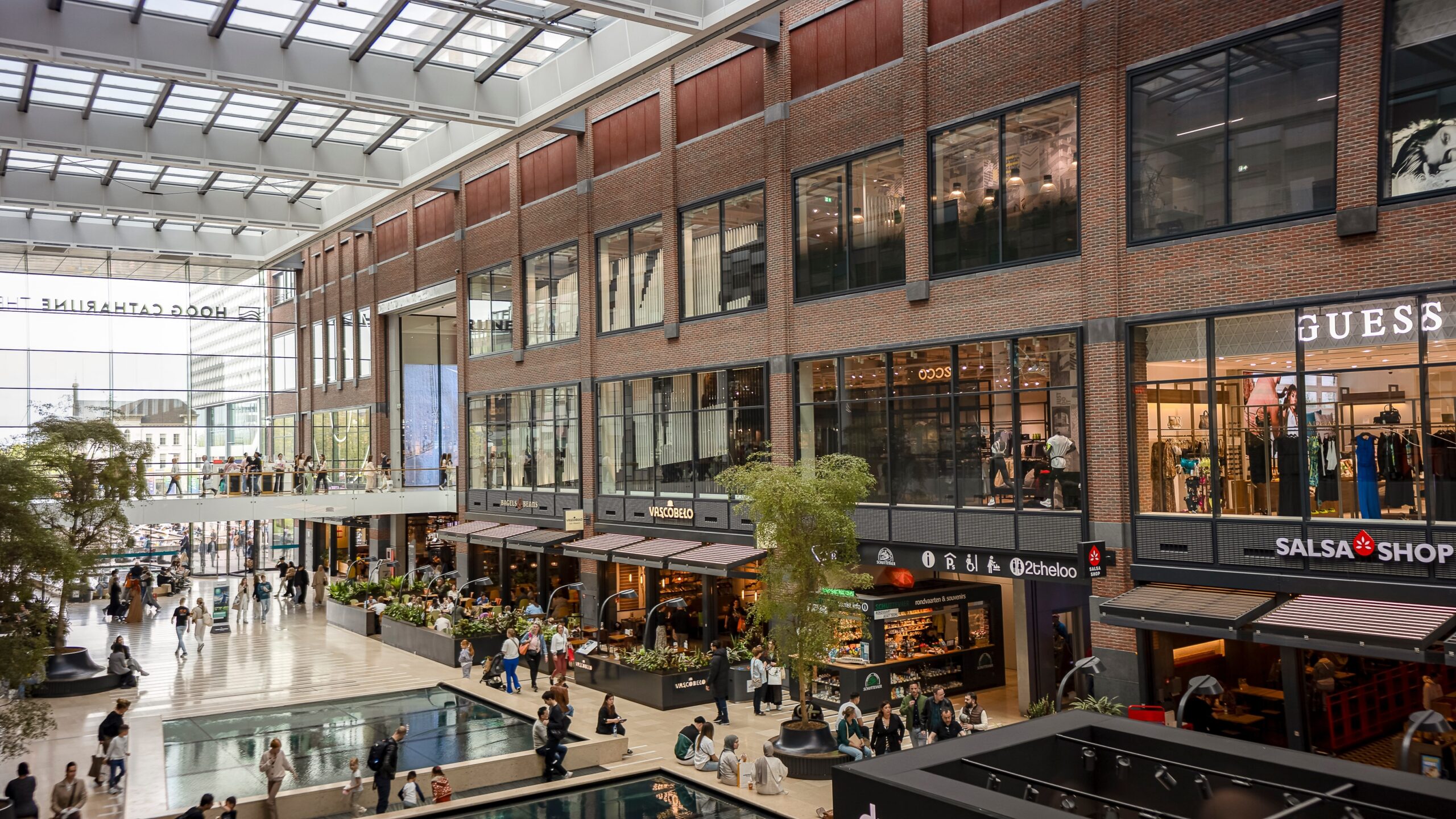 Beeld: Maarten Zeehandelaar/Shutterstock