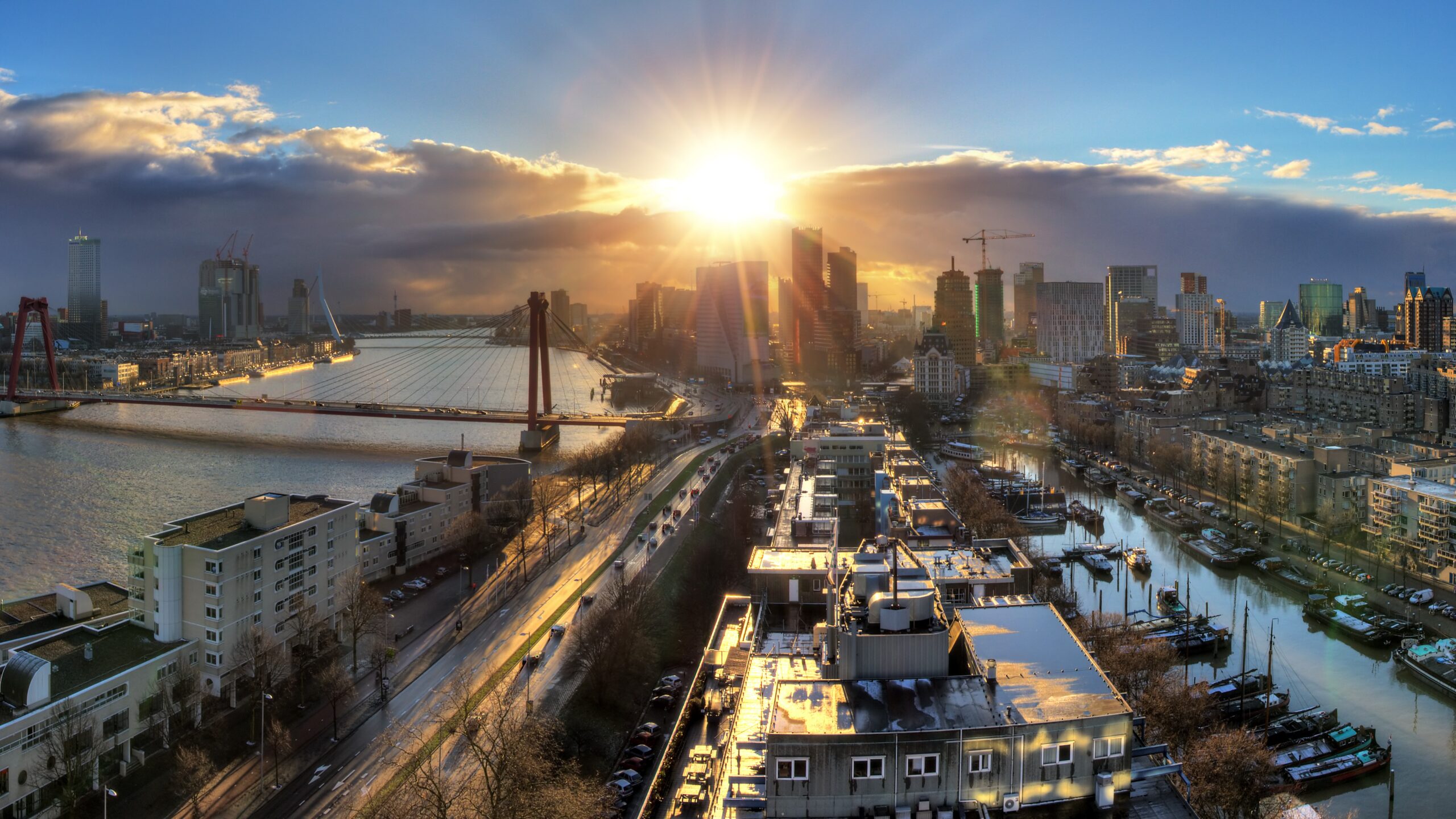 Beeld: Dennis van de Water/Shutterstock