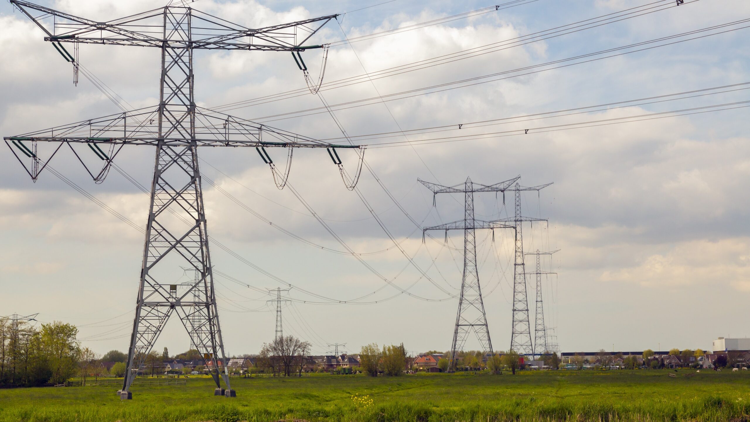 Foto: Roel Meijer / Shutterstock