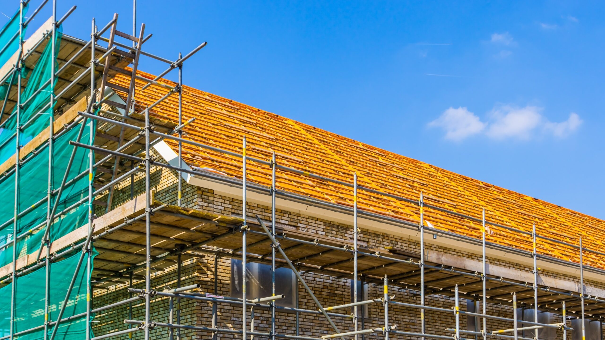 Beeld: Charlotte Bleijenberg/Shutterstock
