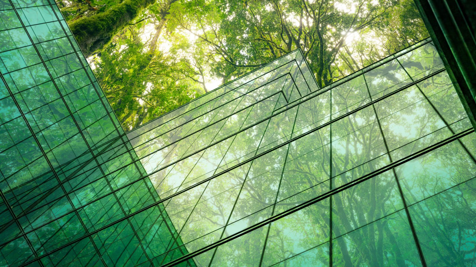 Beeld: Fahroni/Shutterstock