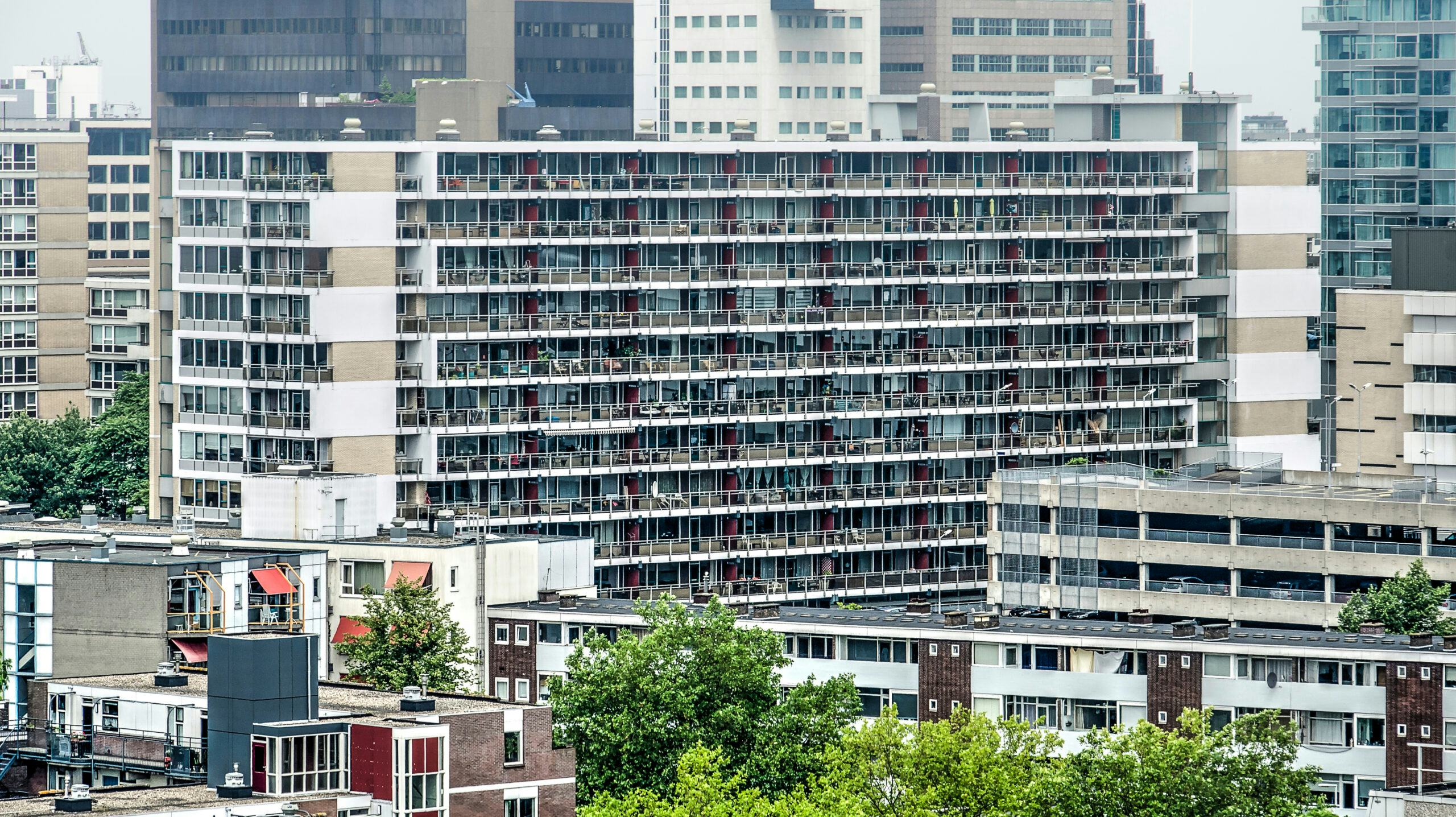 Foto: Frans Blok / Shutterstock