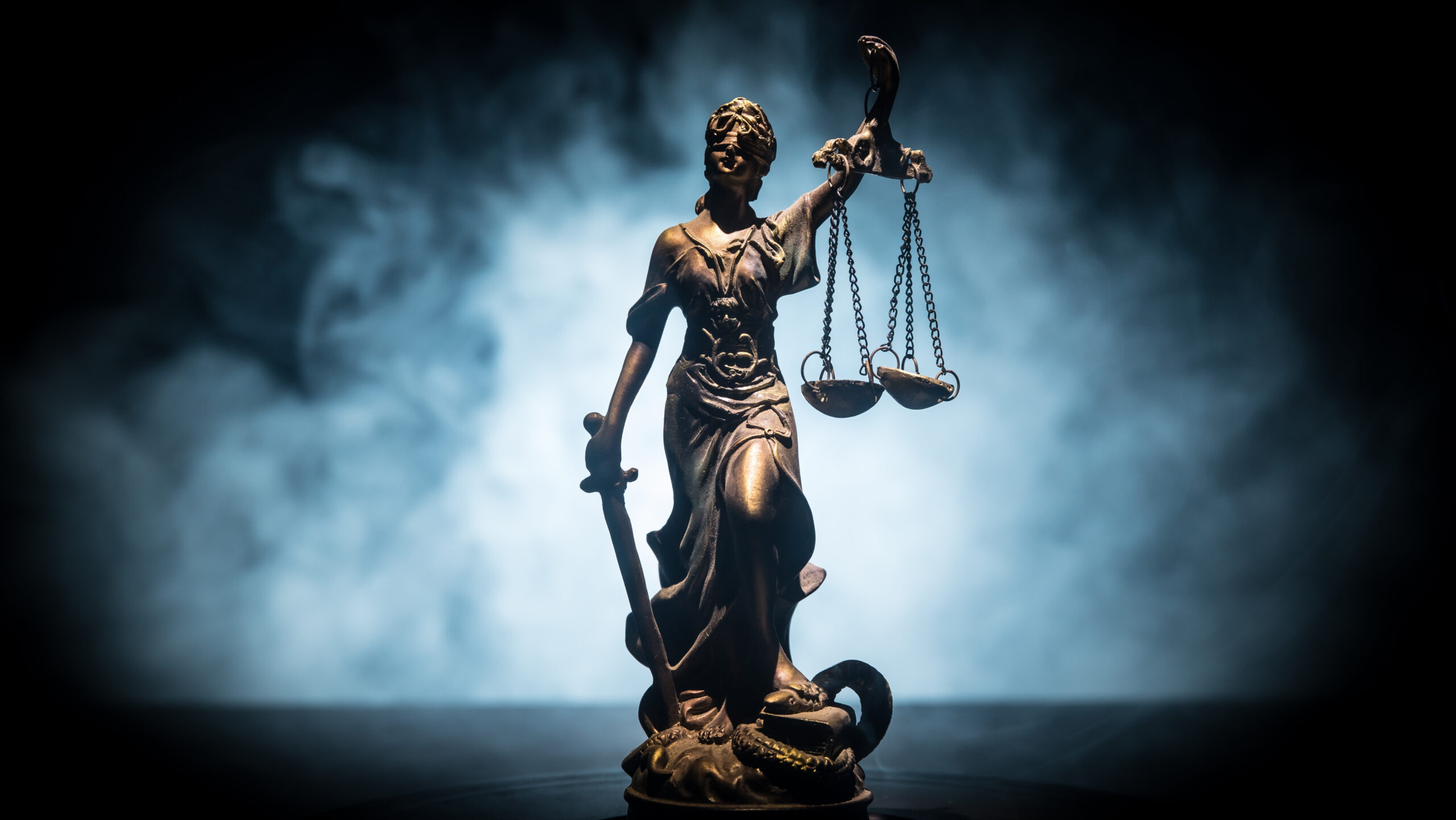 Beeld: Zef Art / Shutterstock.com