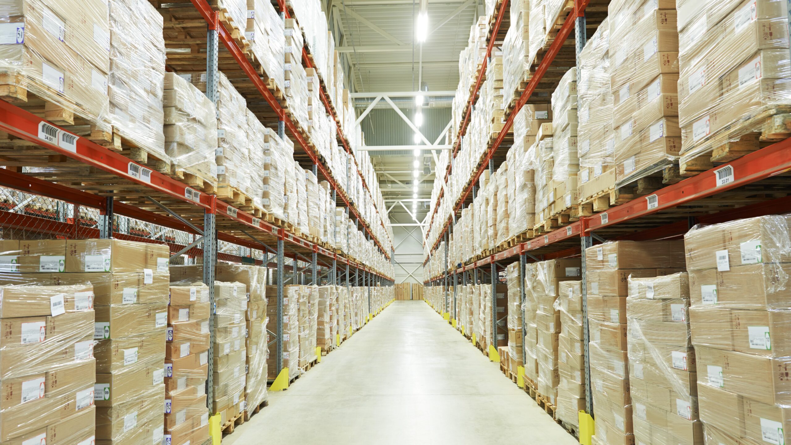 Foto: Dmitry Kalinovsky / Shutterstock