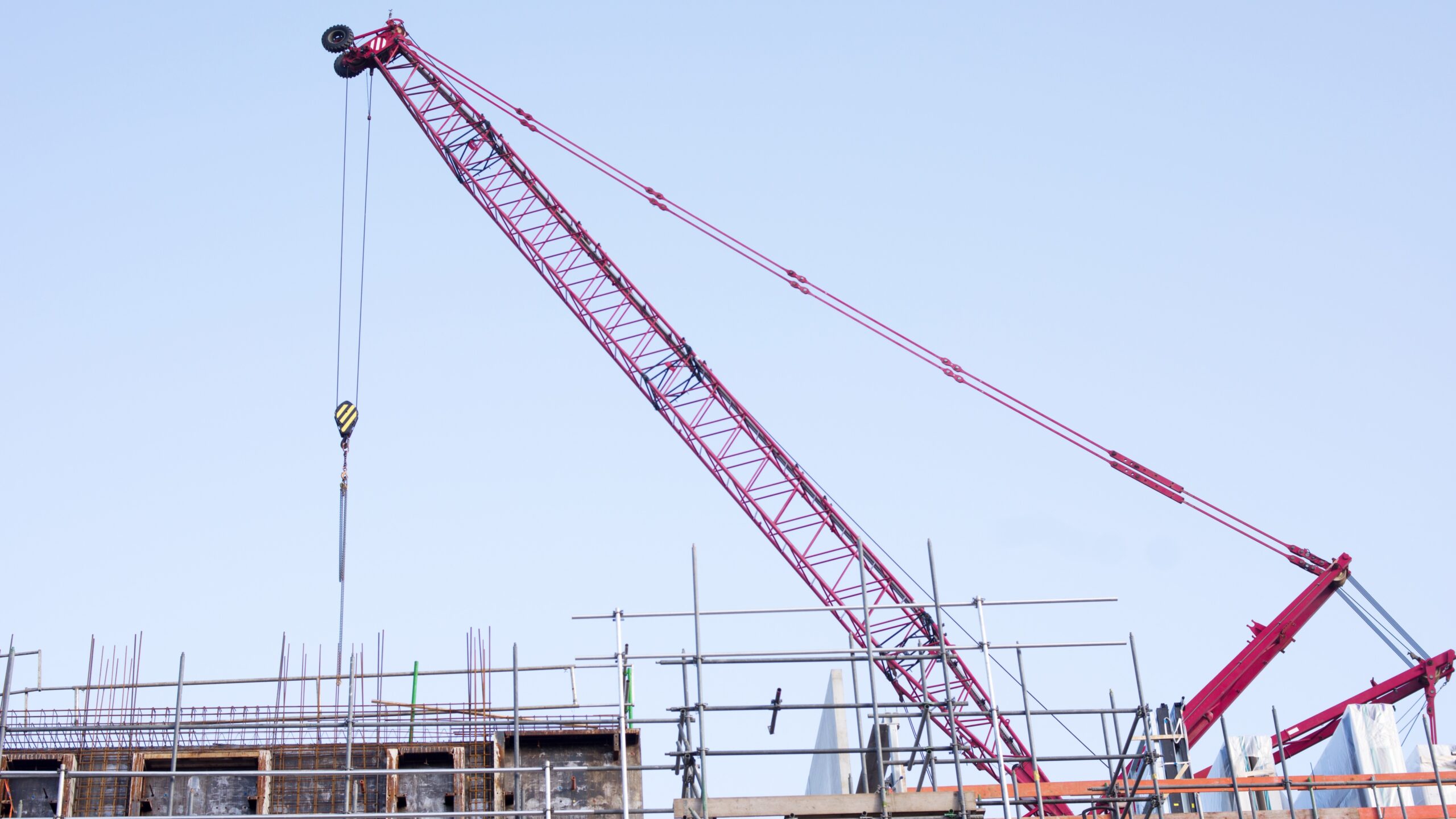 Beeld: Marcel Rommens/Shutterstock