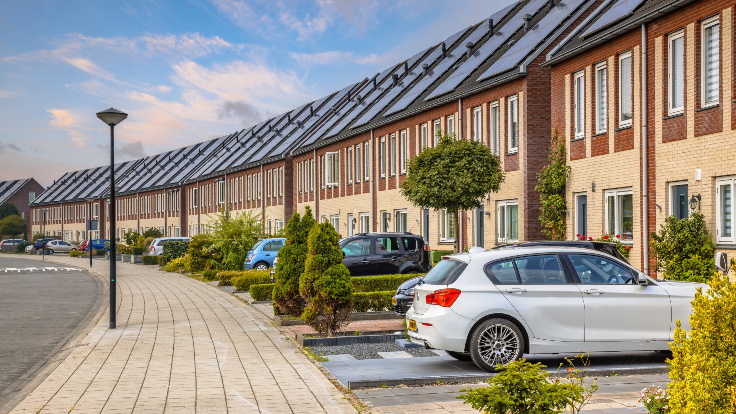 Foto: Rudmer Zwerver / Shutterstock