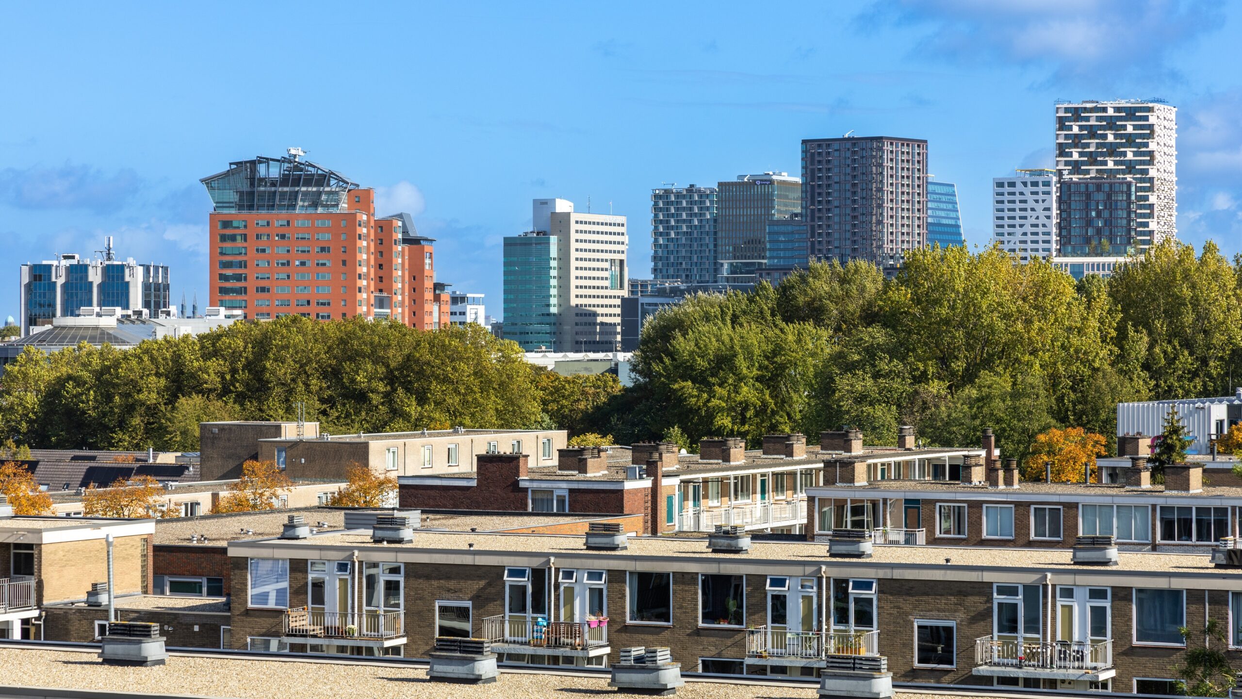 Beeld: PixelBiss/Shutterstock