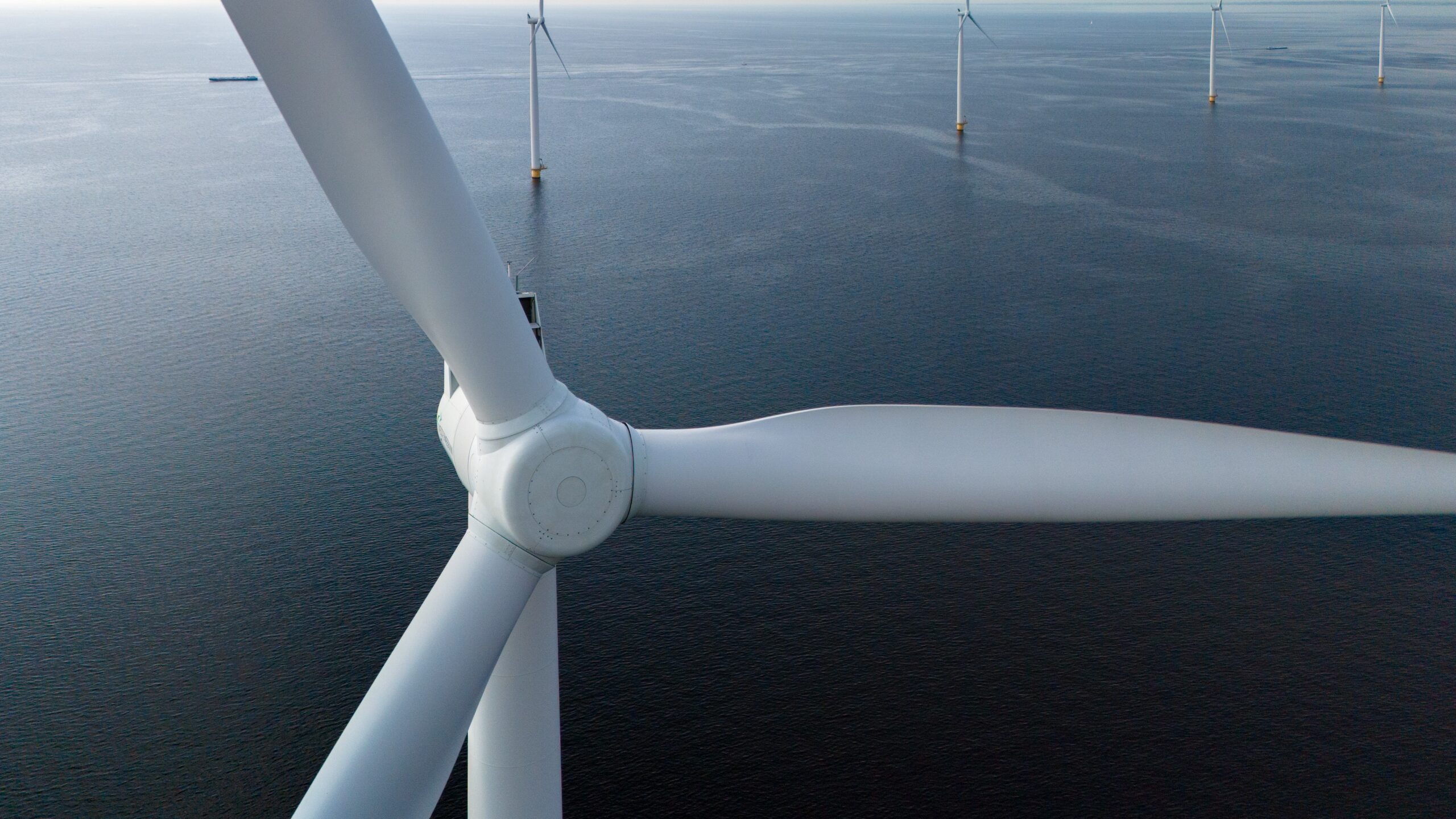 Foto: Shutterstock, Fokke Baarssen