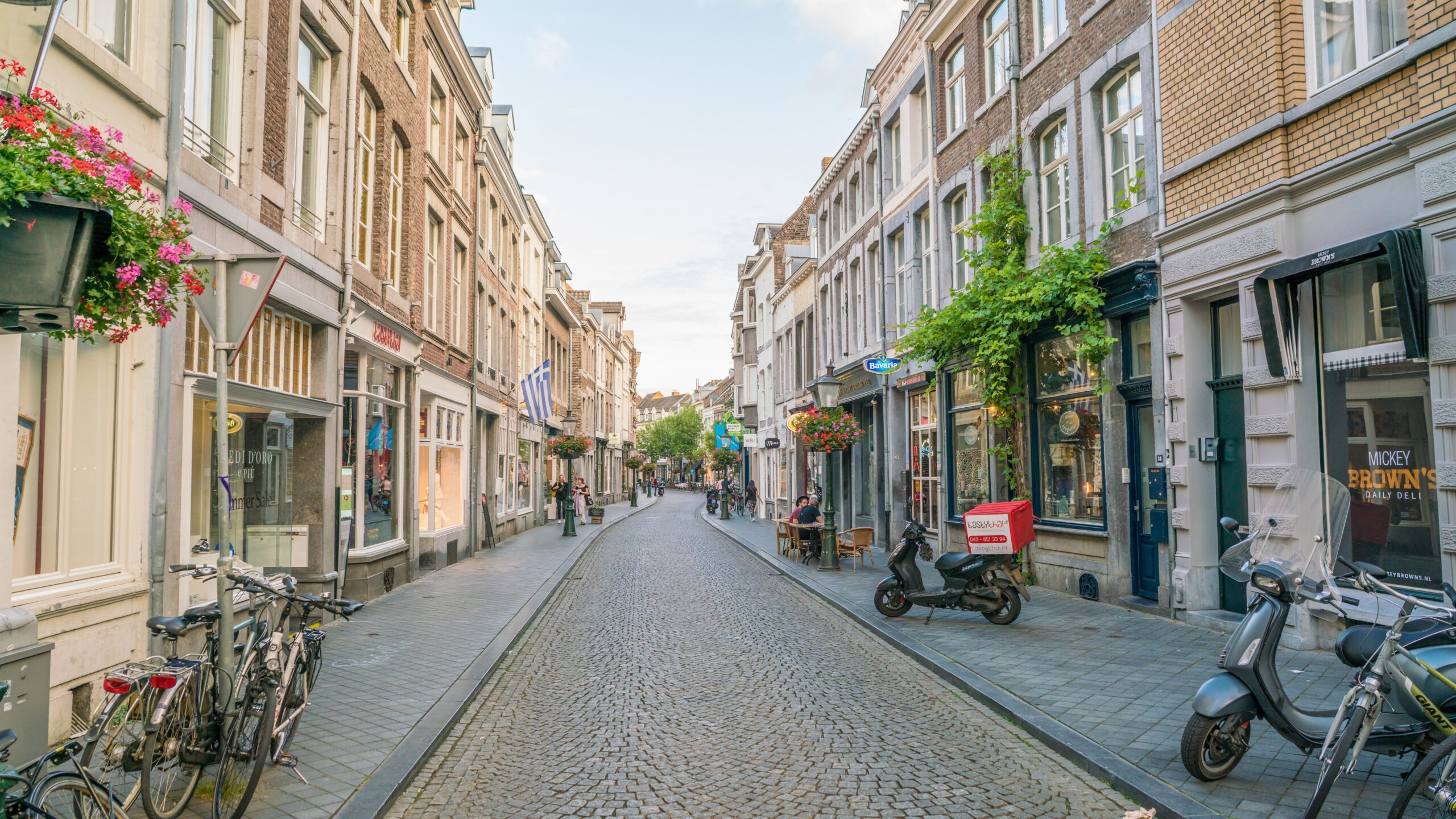 Foto: Ivo Antonie de Rooij / Shutterstock.